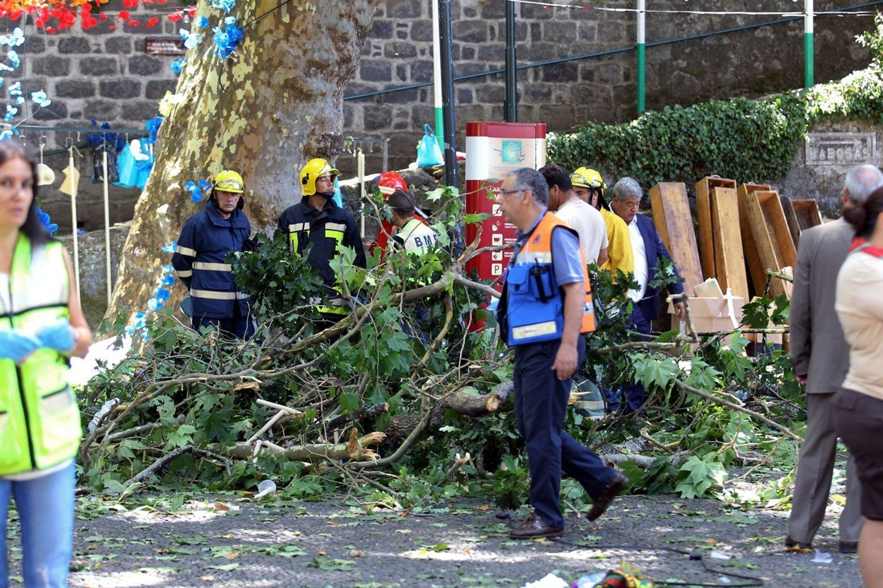 Pád stromu na na portugalském ostrově Madeira - 3 - GALERIE: Pád stromu na na portugalském ostrově Madeira (3/4)