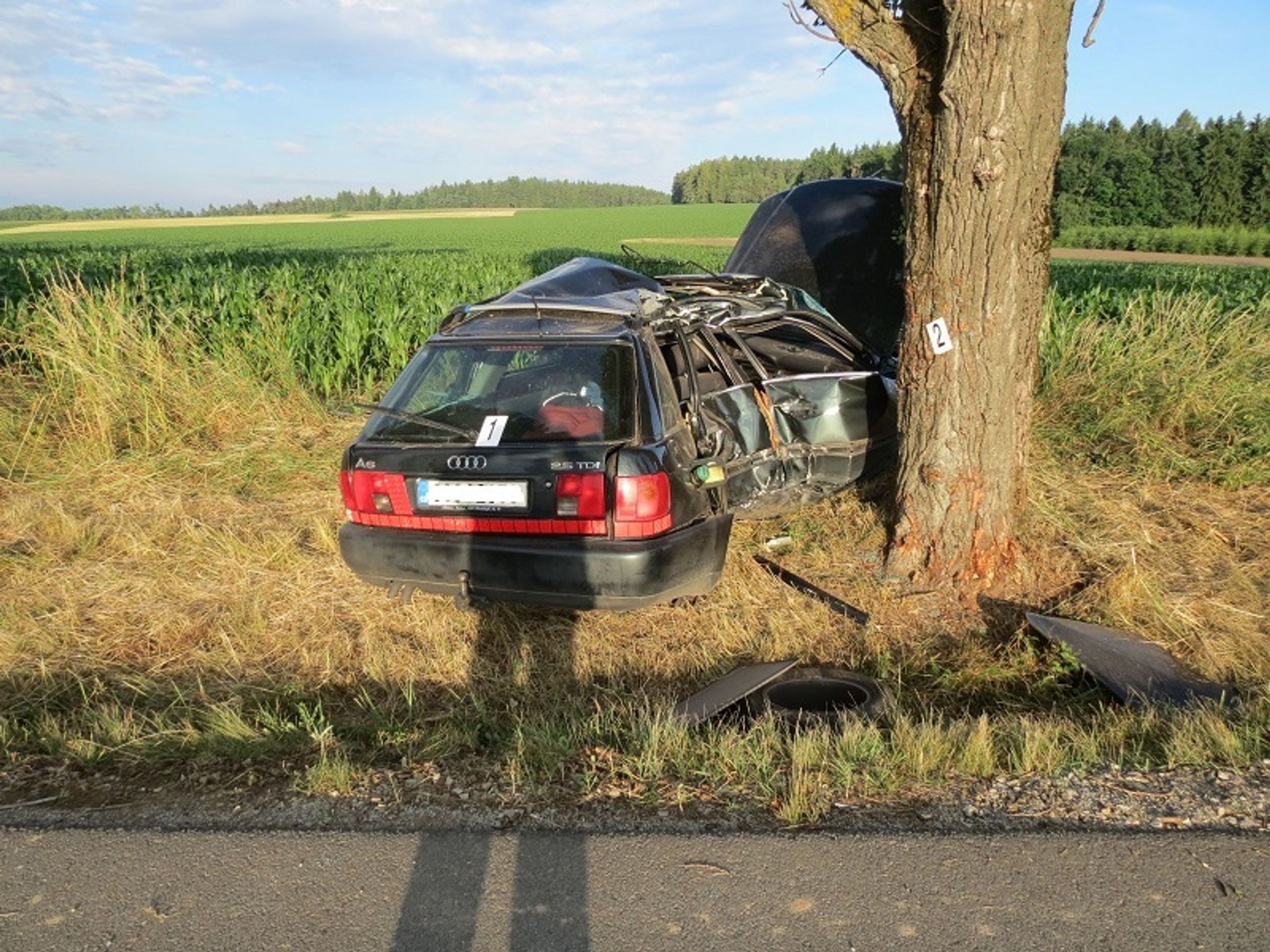Řidič na Jindřichohradecku narazil do stromu - 4 - GALERIE: Řidič na Jindřichohradecku narazil do stromu (4/4)