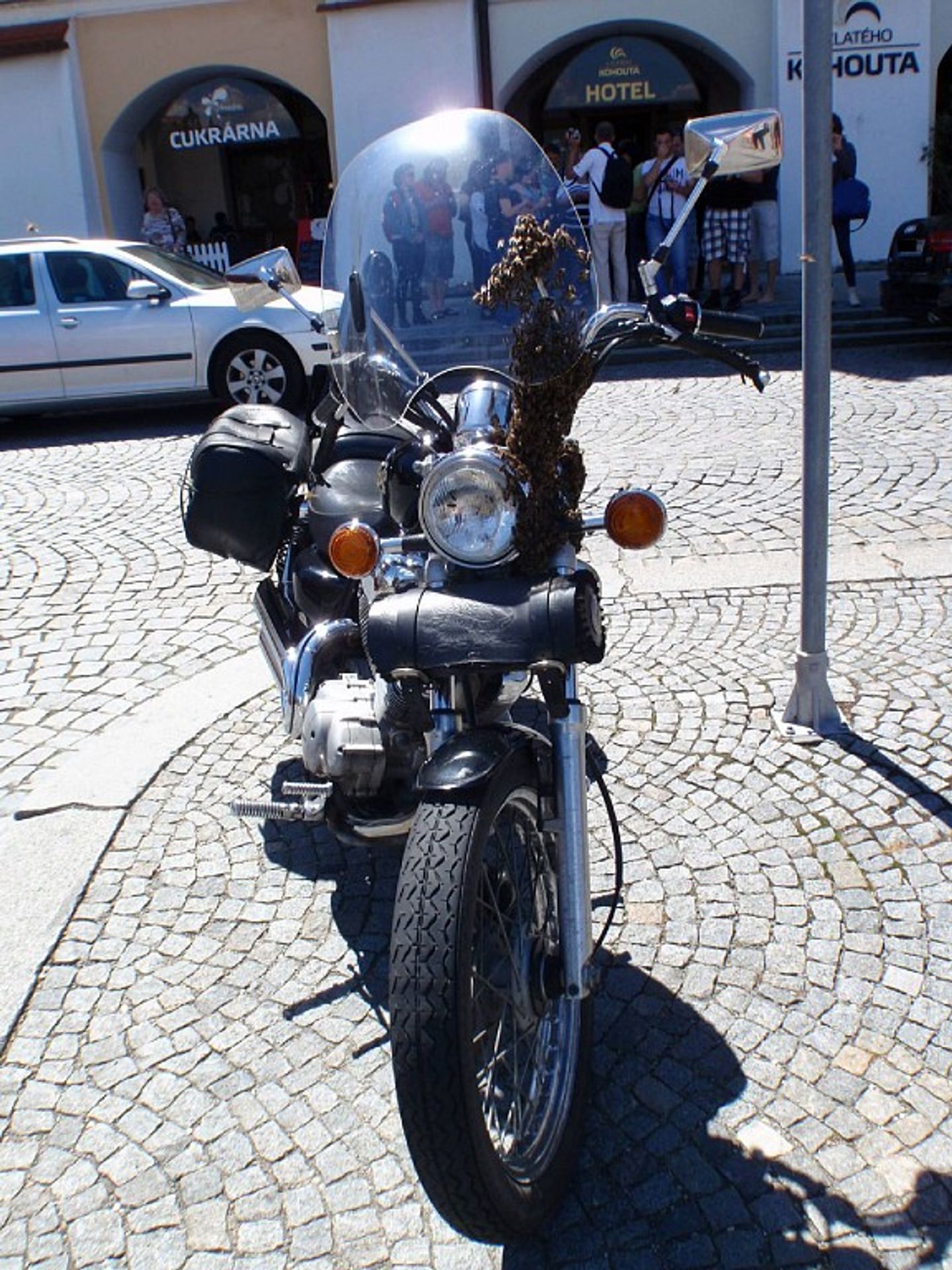 Včely obsadily v Kroměříži motocykl - GALERIE: Včely obsadily v Kroměříži motocykl (2/4)