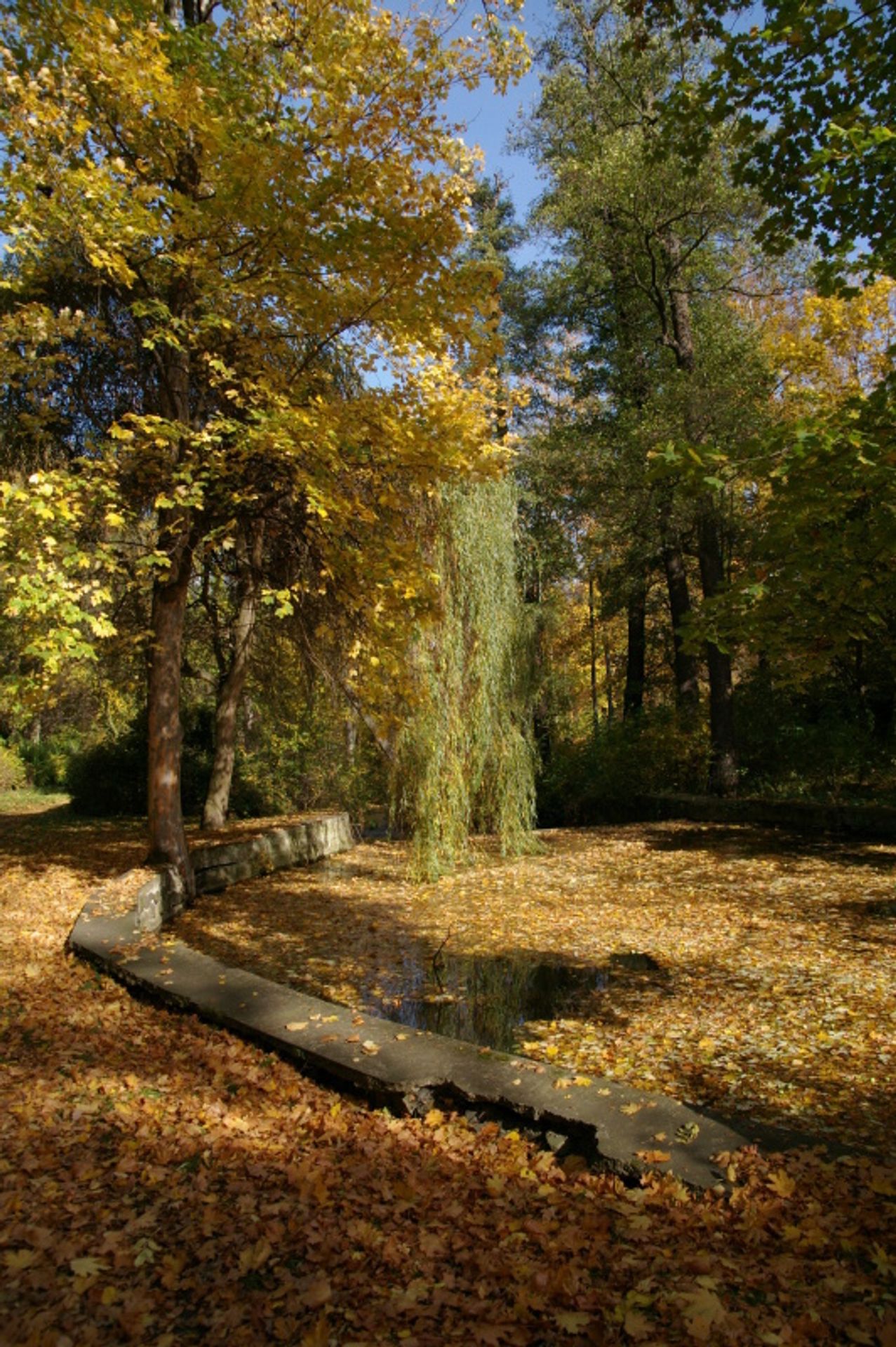 Zámek Krásný dvůr - GALERIE Krásný dvůr (3/7)