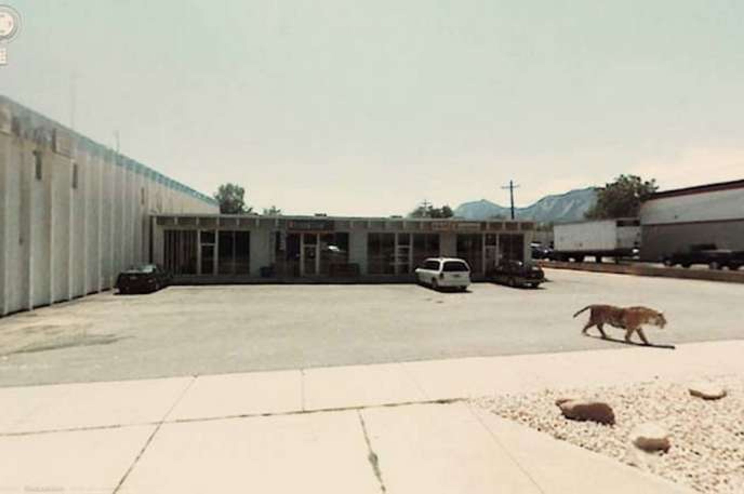 Obrázky google street view - 9 - GALERIE: Obrázky z Google Street View (21/29)