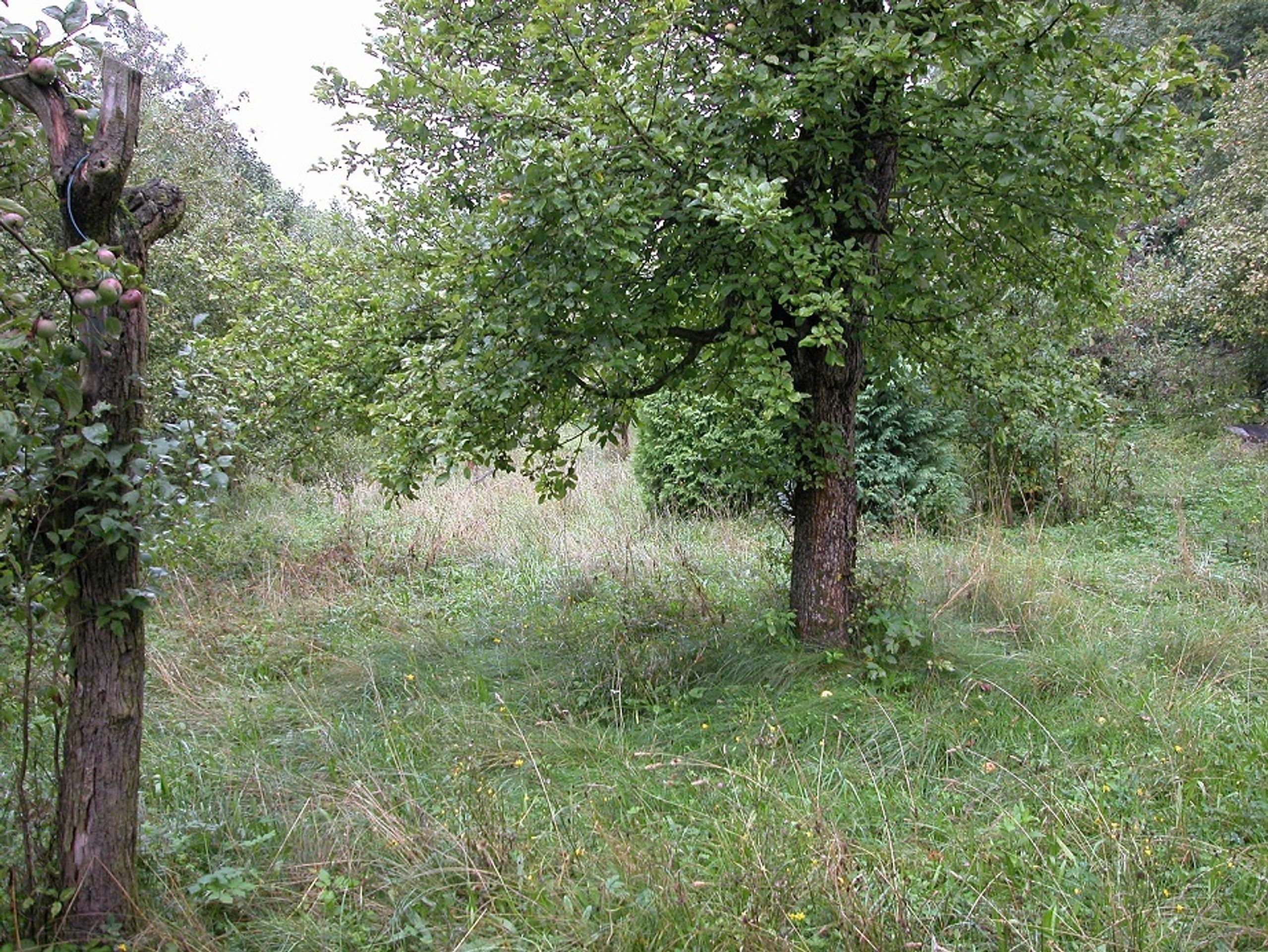 Domy, které nabízí stát - Komárov - 2 - GALERIE: Územní pracoviště Střední Čechy (5/9)