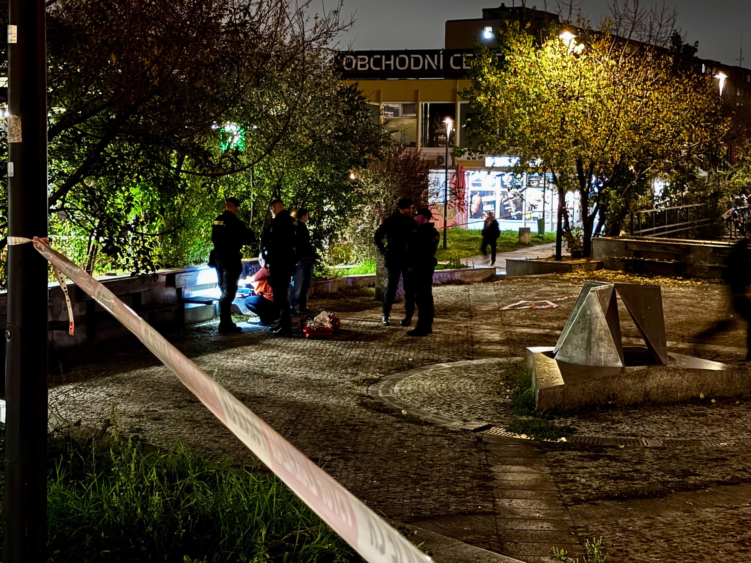 Policisté v Praze museli střelit psa - Policisté v Praze museli střelit psa (6/8)