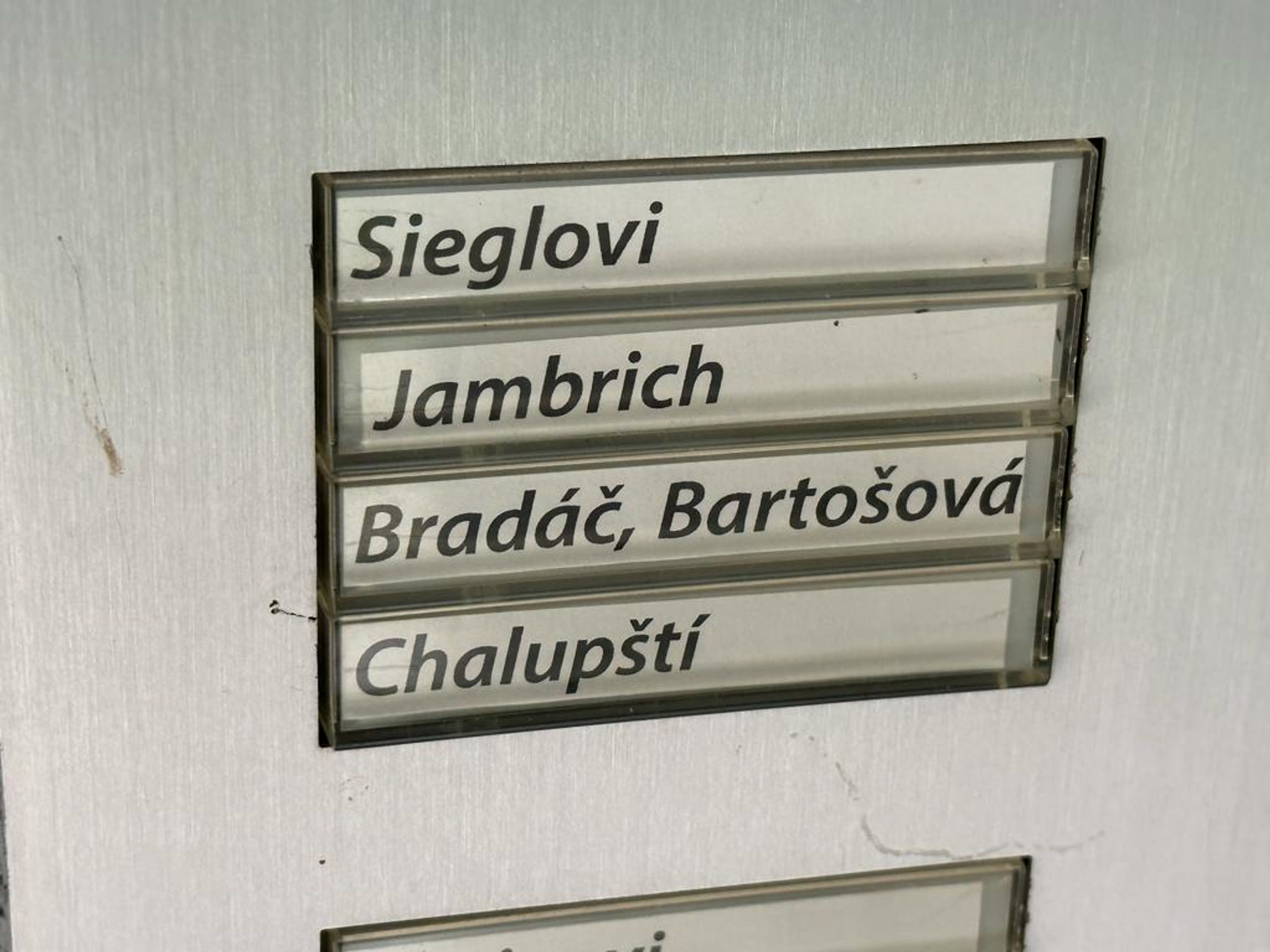 Policejní razie v Brně - Záběry z policejní razie v bytě politika Otakara Bradáče (6/7)