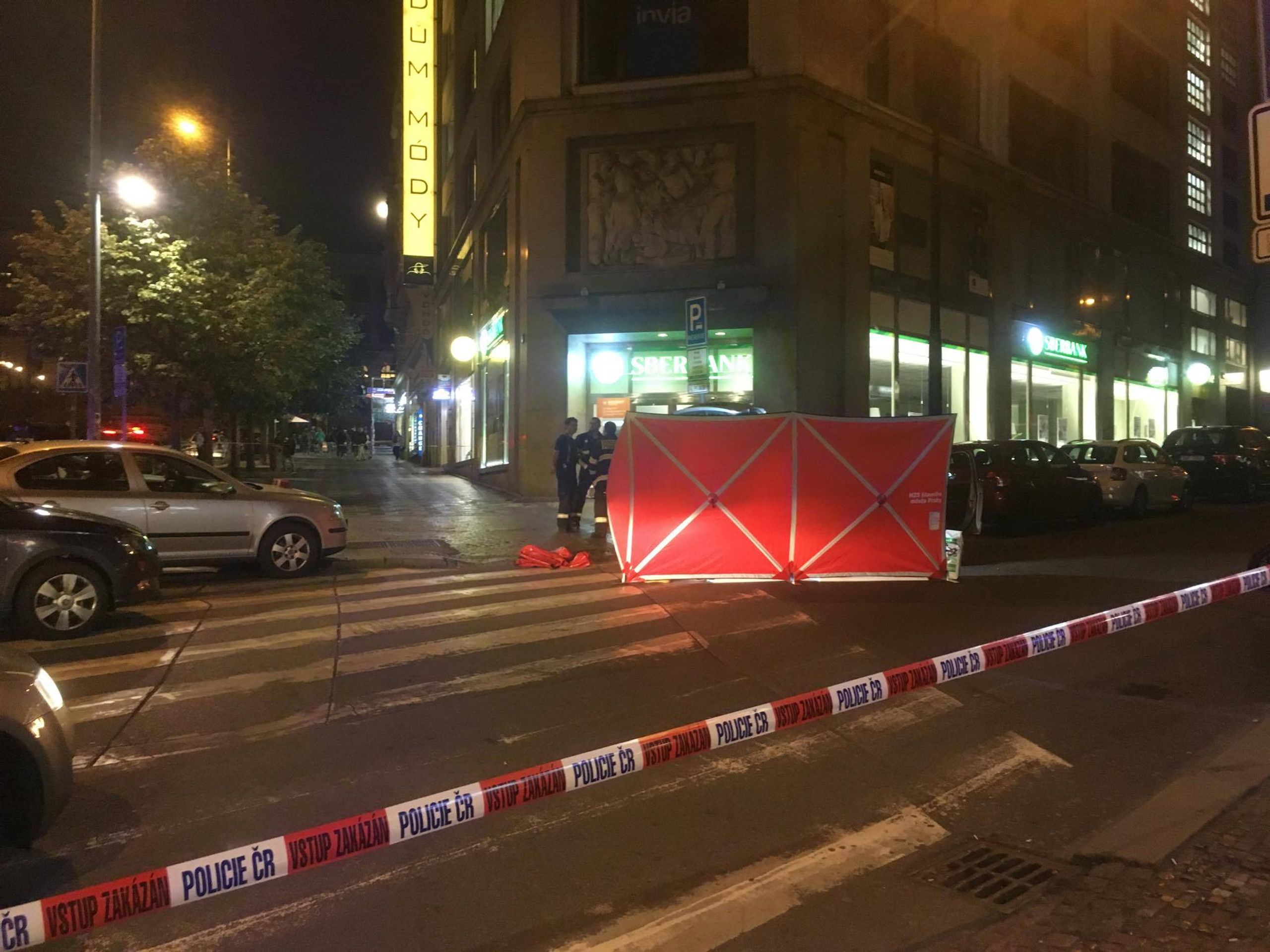 Policie na Václavském náměstí - 7 - GALERIE: Zátah na Václavském náměstí (2/8)