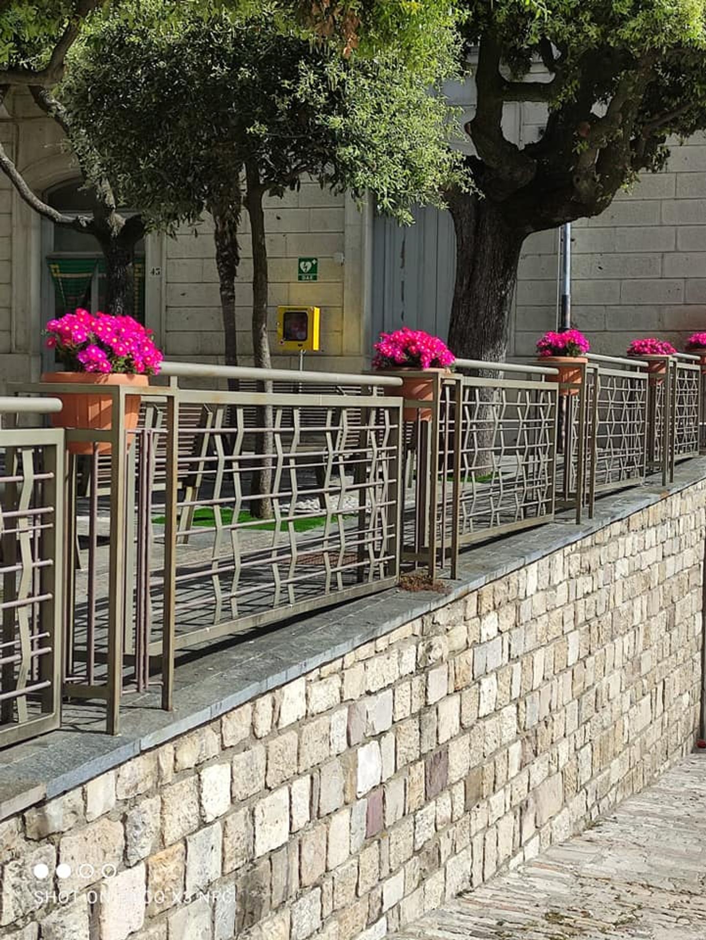 Sant'Elia a Pianisi - Město Sant'Elia a Pianisi (9/12)