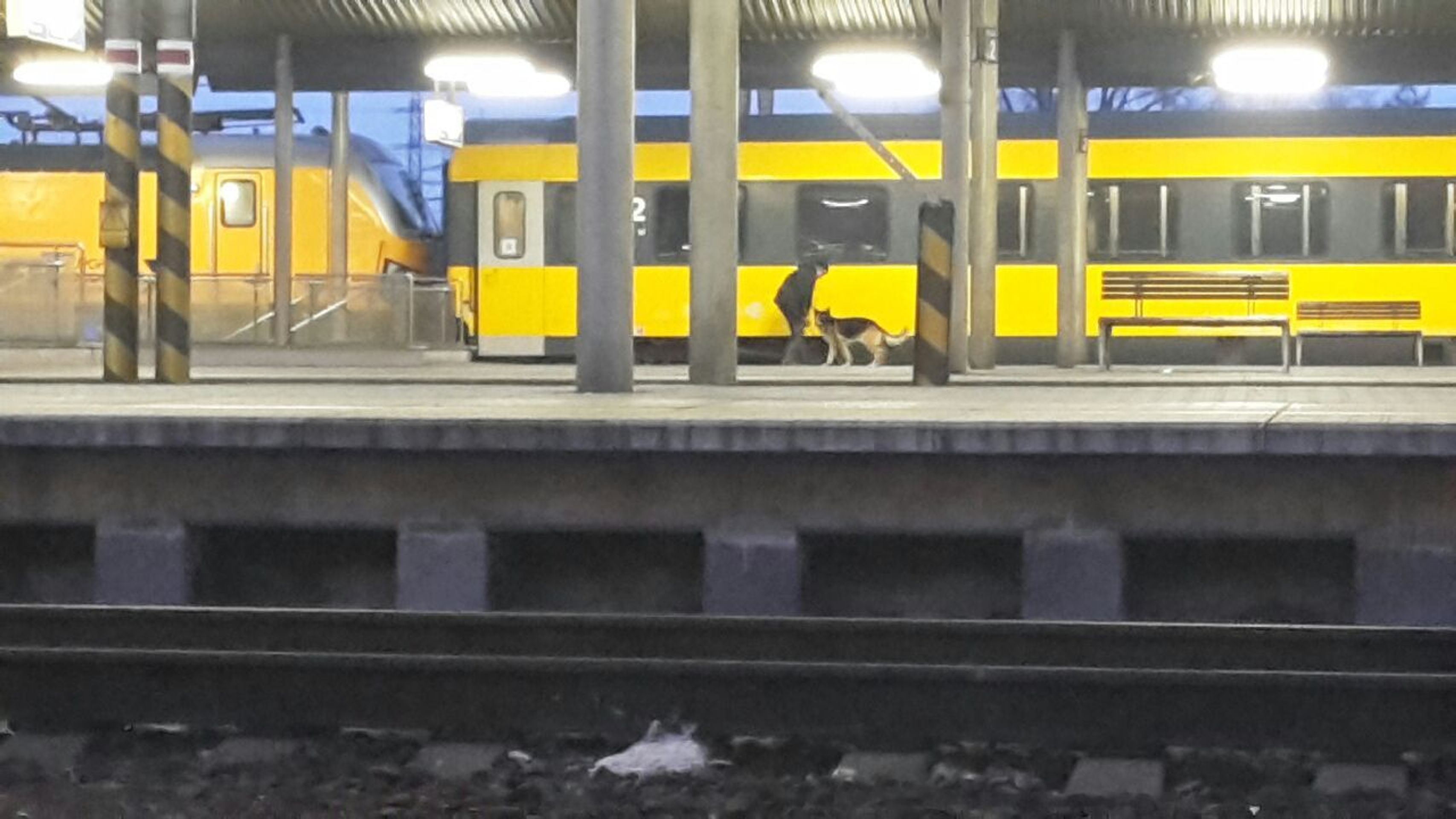 Vlaky RegioJetu se zastavily kvůli bombové výhrůžce - 6 - GALERIE: Vlaky RegioJetu se zastavily kvůli bombové výhrůžce (4/9)