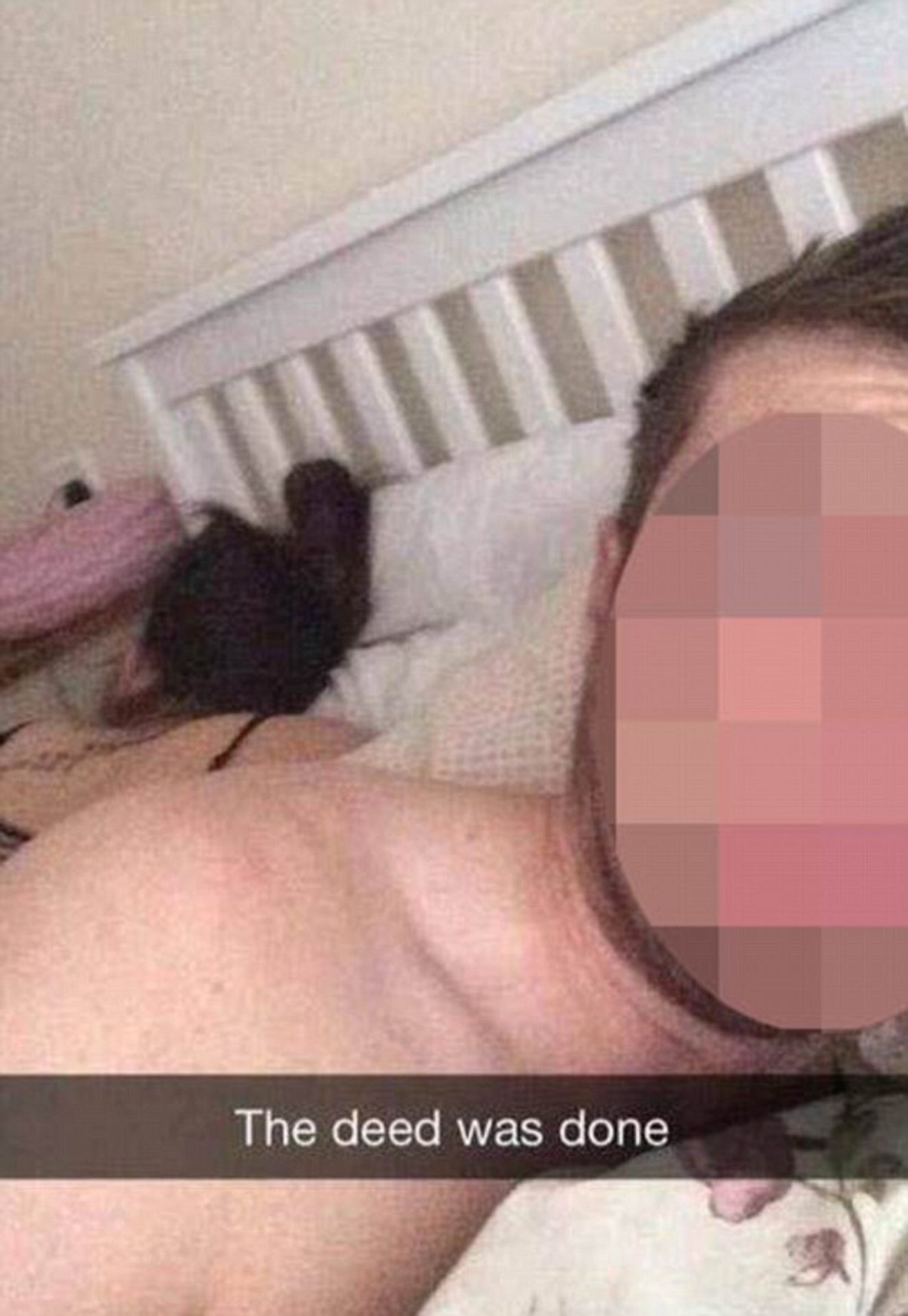 Lidé se foí po zapomenutém sexu na jednu noc - 7 - GALERIE: Lidé se fotí po zapomenutém sexu na jednu noc (6/12)