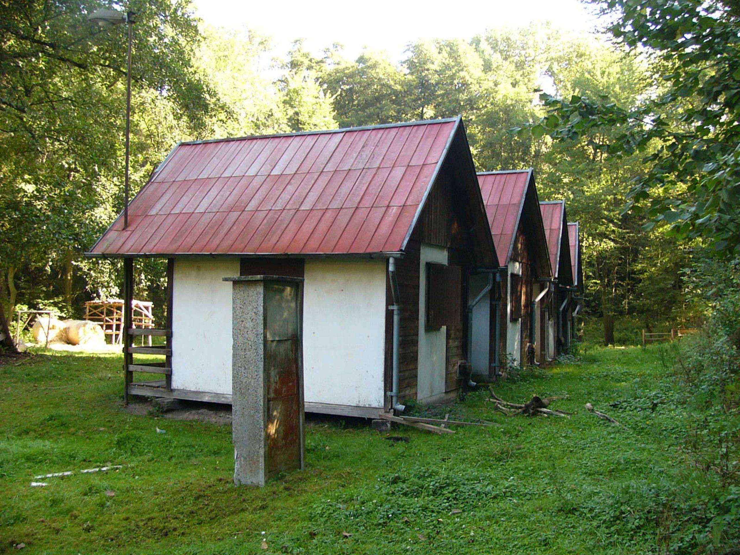 Prodej majetku - mlýn Pášov - 3 - GALERIE: Prodej majetku - mlýn Pášov a Dívčí Hrad (3/12)