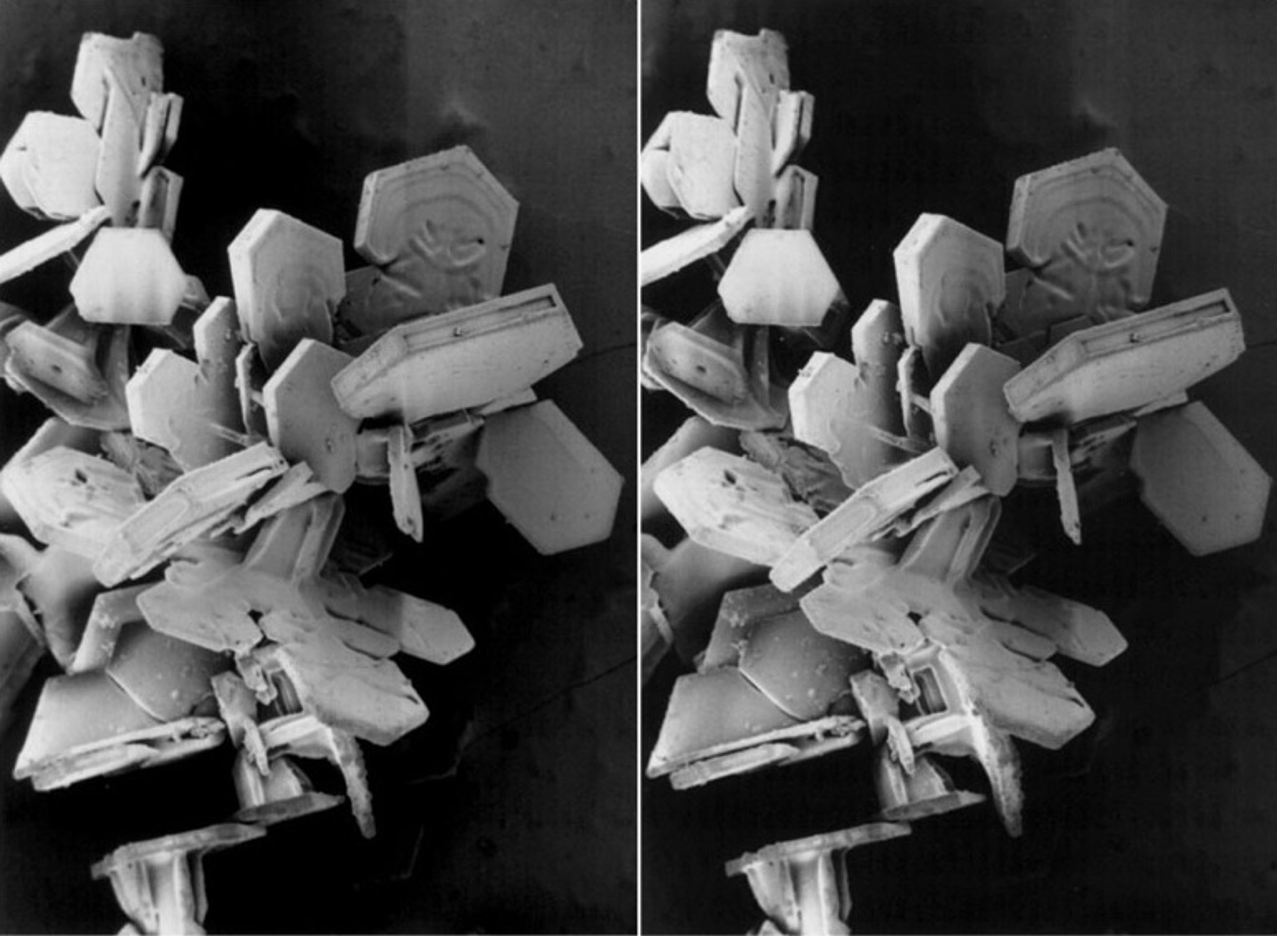 Vločka pod mikroskopem - 4 - GALERIE: Sněhová vločka pod mikroskopem (9/22)