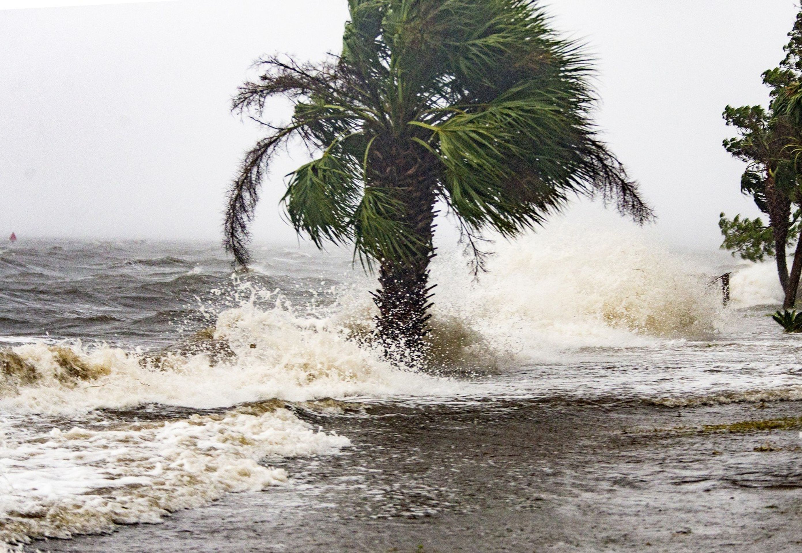 Hurikán Michael Florida 2018 - 2 - GALERIE: Následky hurikánu Michael na Floridě (4/9)
