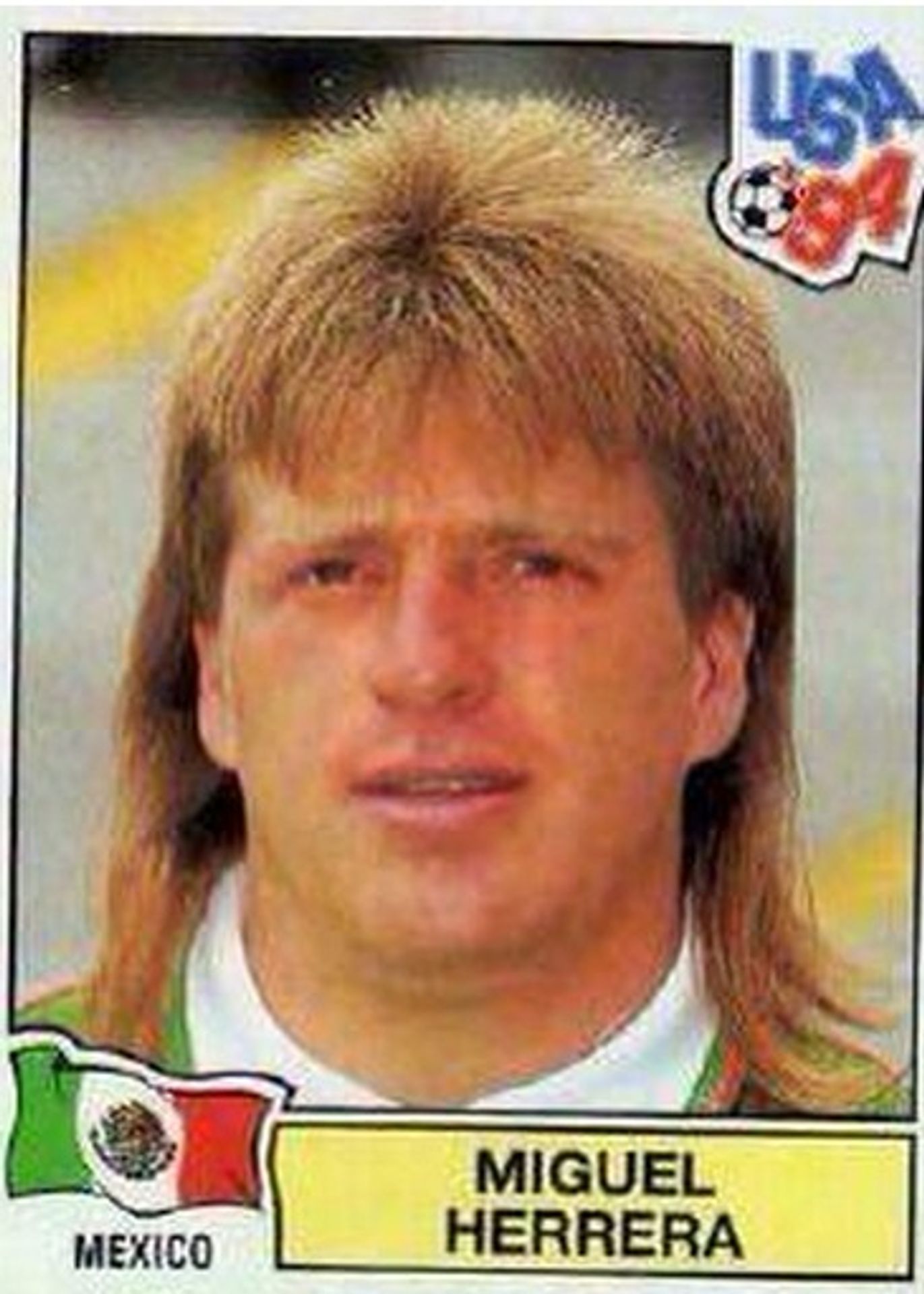 Miguel Herrera - 6 - GALERIE: Miguel Herrera (6/10)