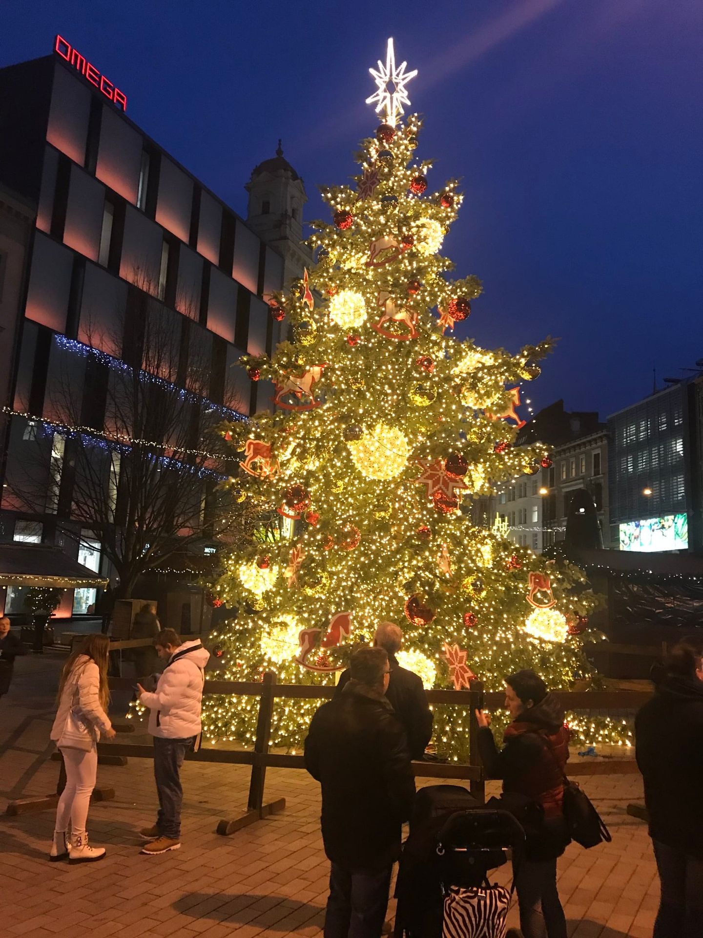 Vánoční strom v Brně - Vánoční stromy (2/14)