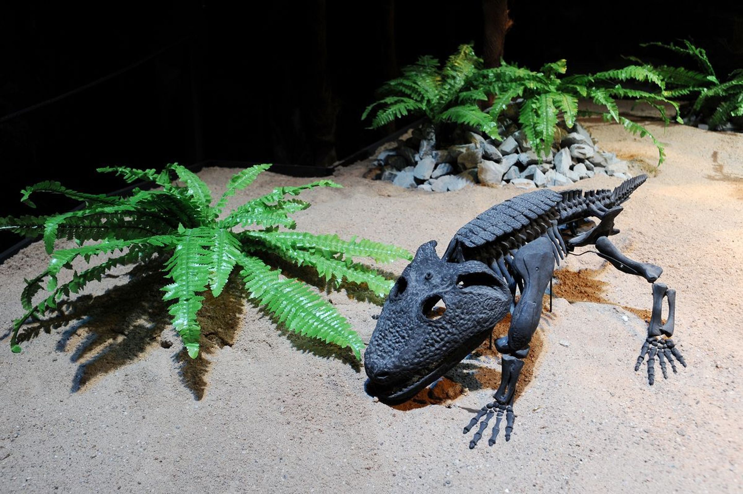 Výstava Dinosaurium - 11 - GALERIE: Výstava Dinosaurium (13/23)
