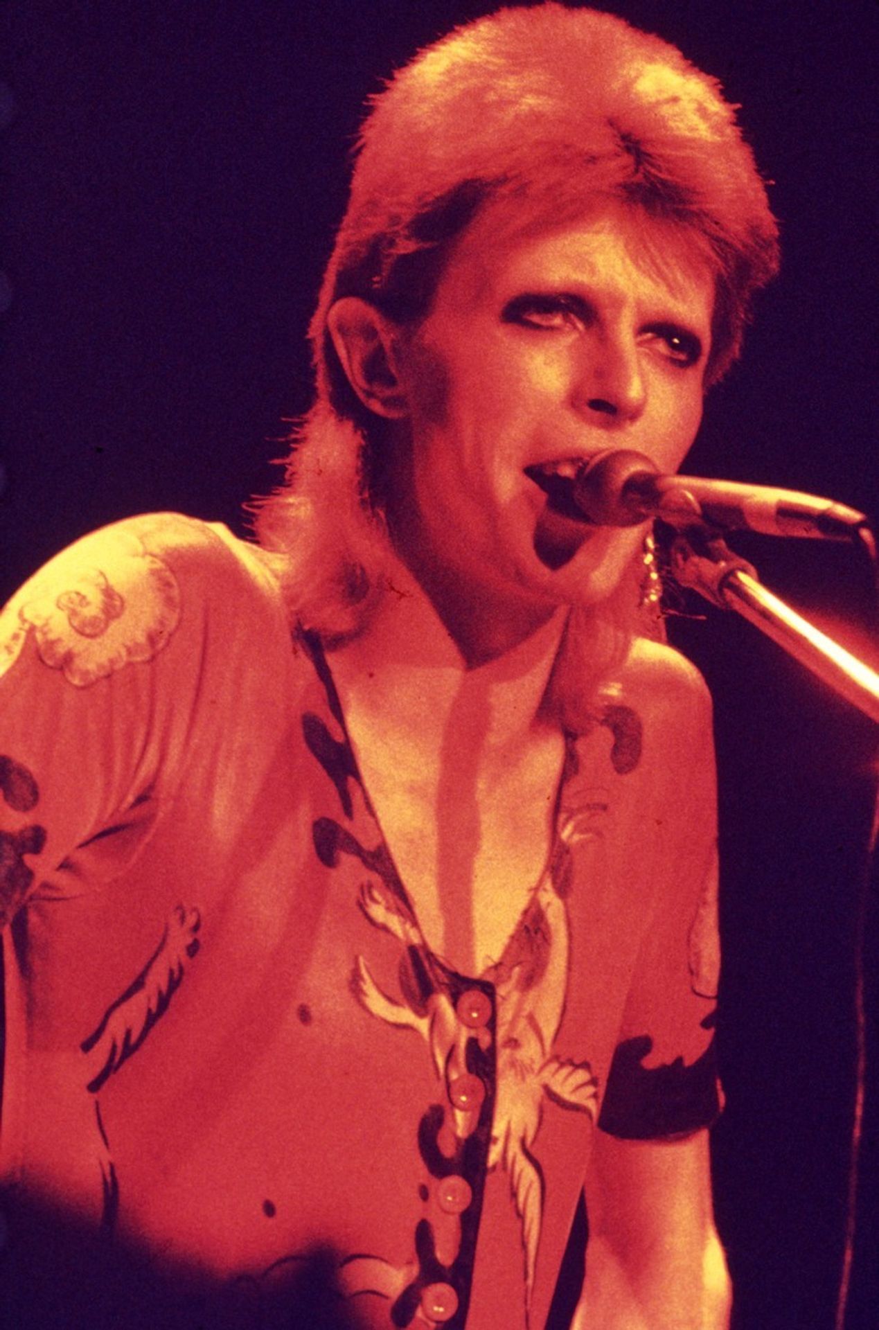 David Bowie - 3 - GALERIE: Osobnosti, které zemřely v roce 2016 (6/18)