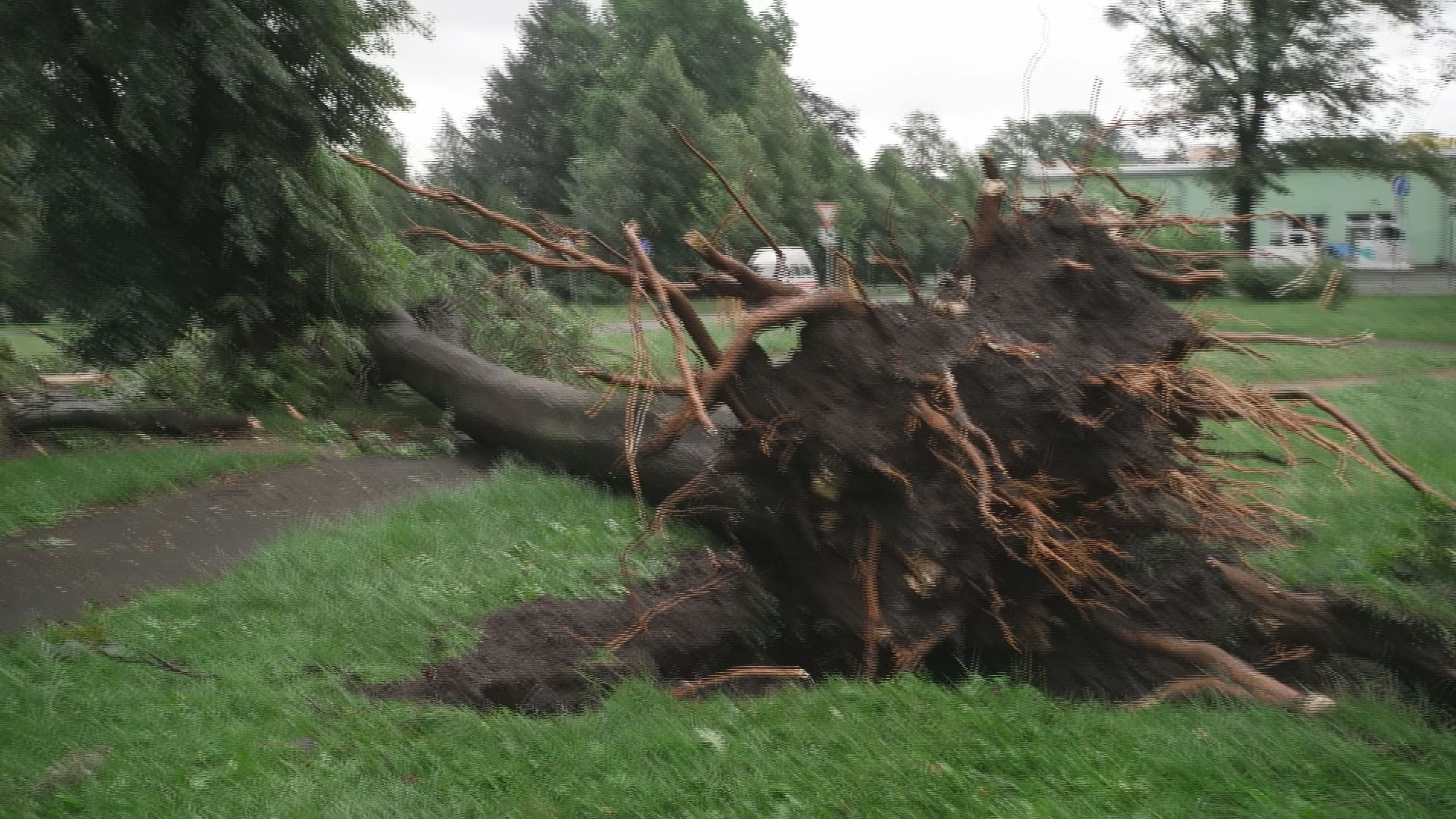 Následky bouřek na Opavsku - Následky bouřek (19/29)