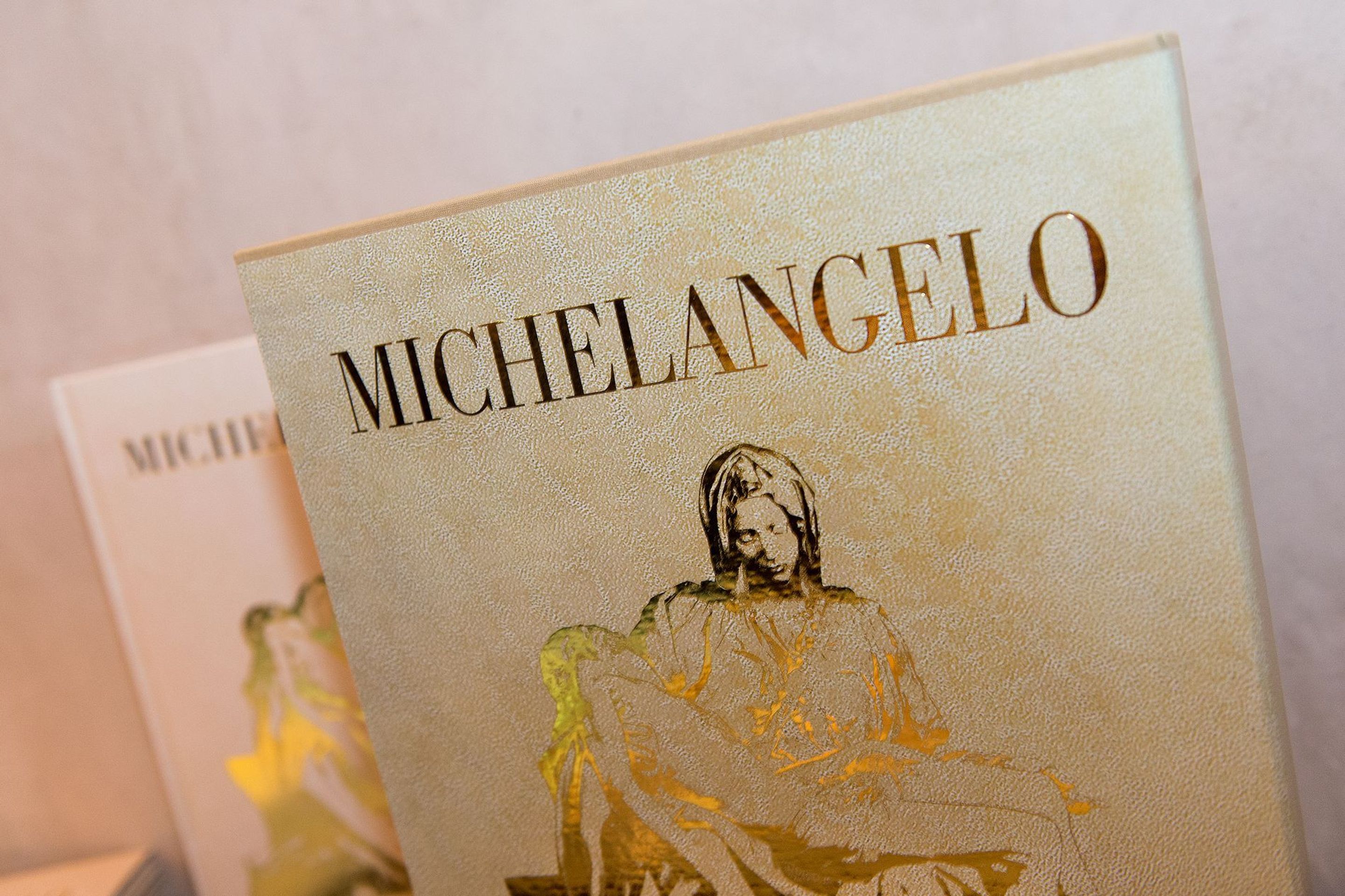 Představení knihy Dokonalý Michelangelo - 4 - GALERIE: Představení knihy Dokonalý Michelangelo (5/8)