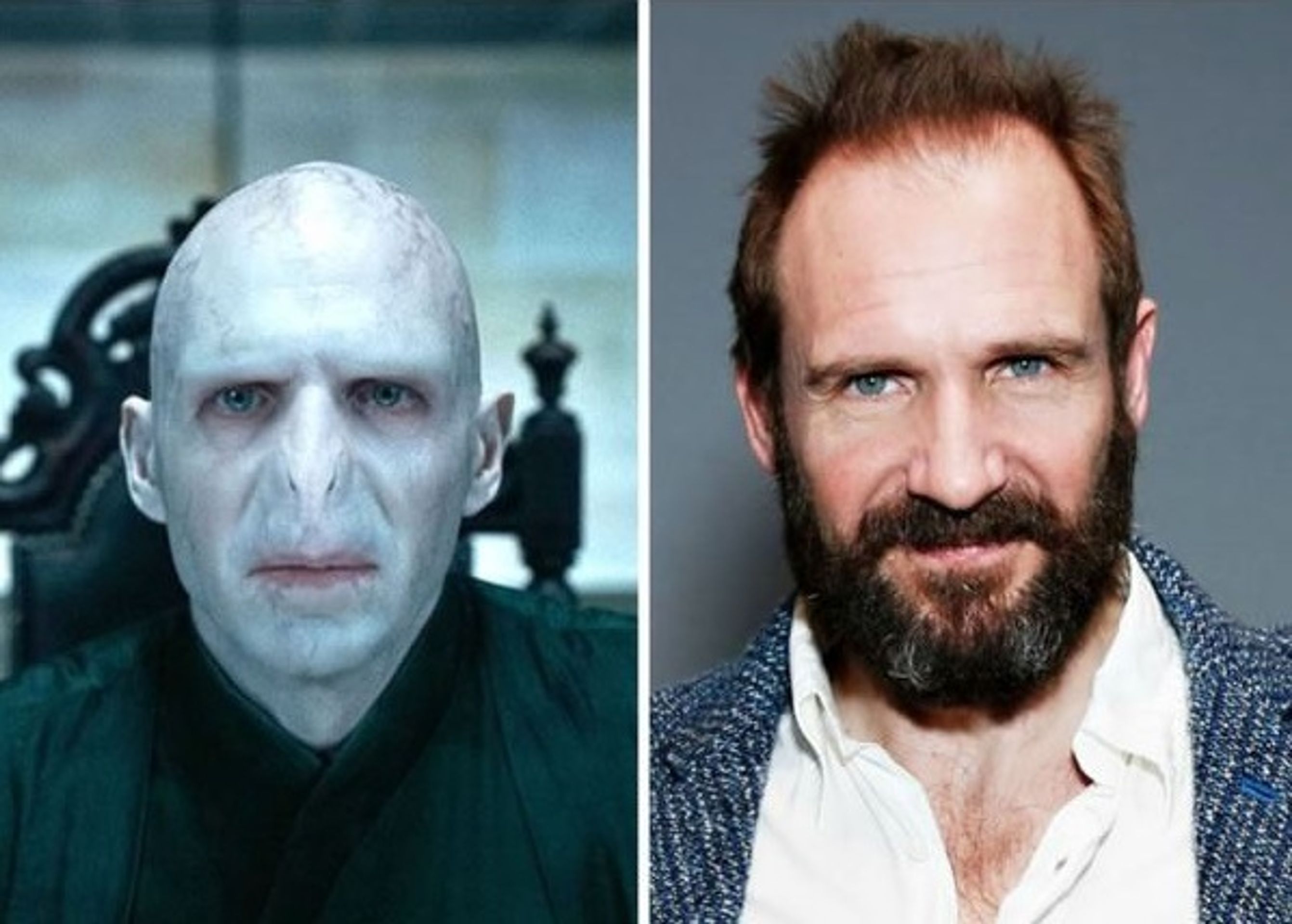 Harry Potter - postavy - Lord Voldemort - Ralph Fiennes - GALERIE: Harry Potter - postavy (1/22)