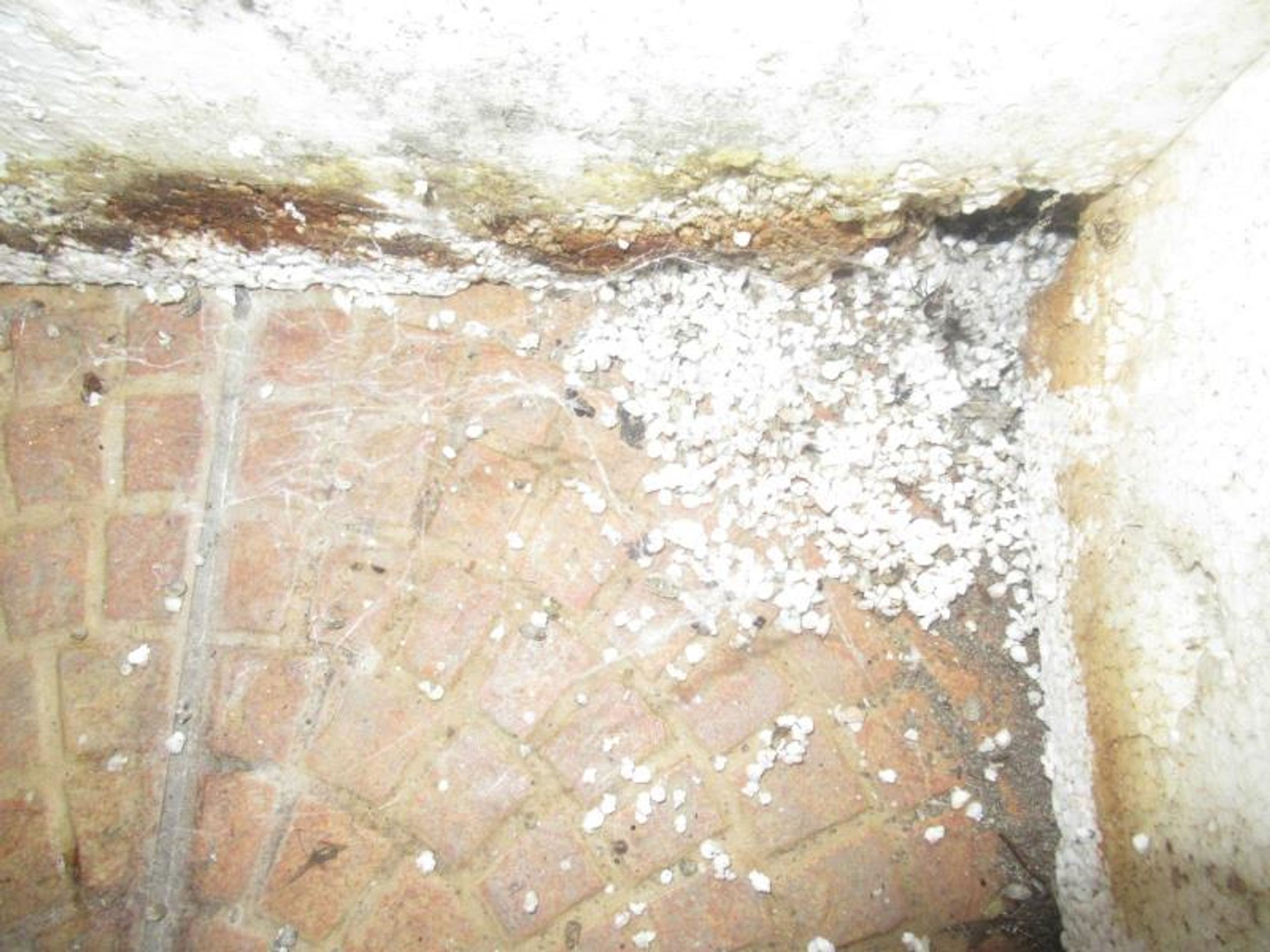 Uzavřená provozovna Hospůdka U Chlupáče (1) - Provozovny uzavřené v letošním roce (29/256)