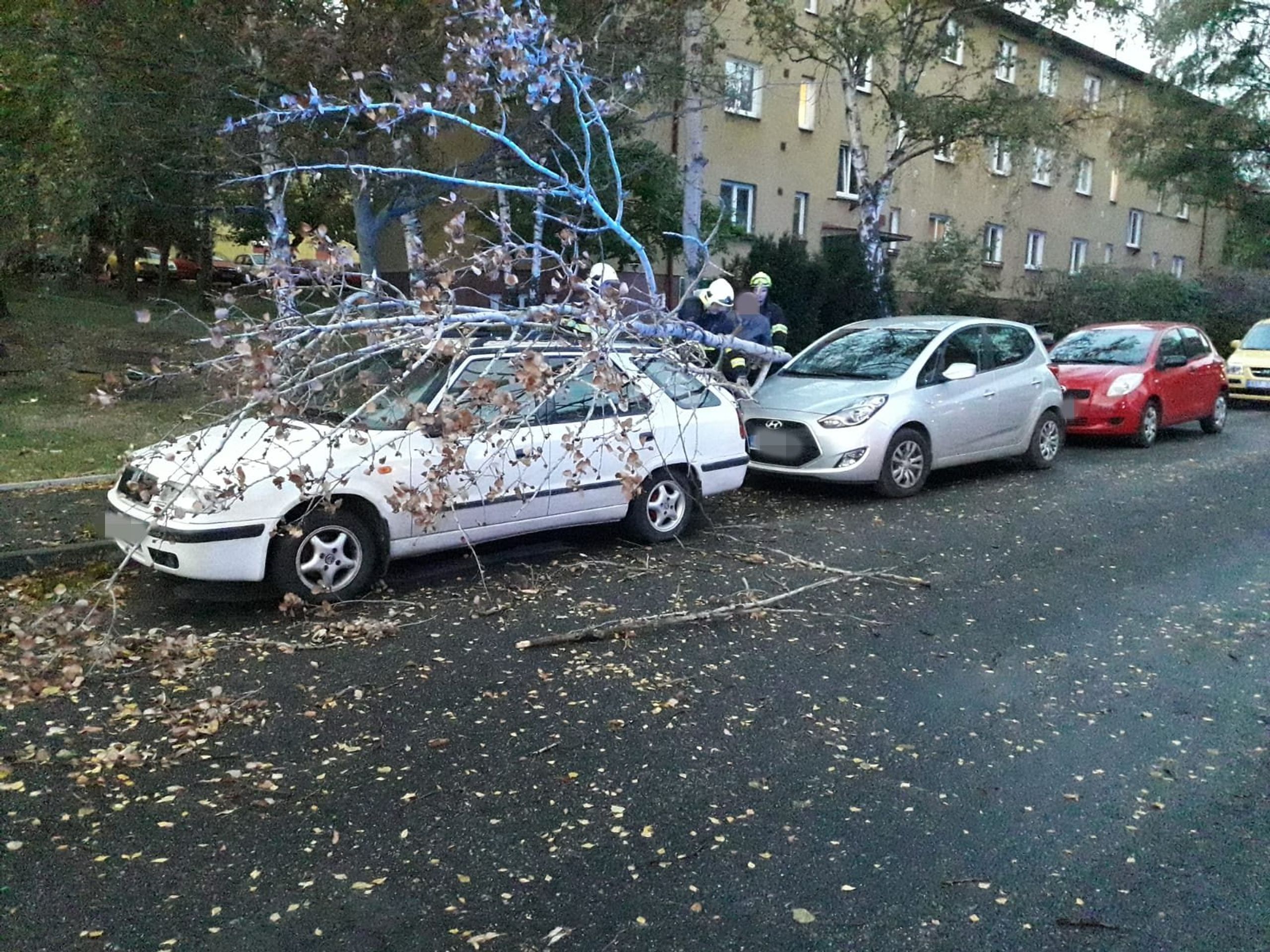 Hasiči vyjížděli k popadaným stromům - GALERIE: V Česku udeřil silný vítr (10/11)