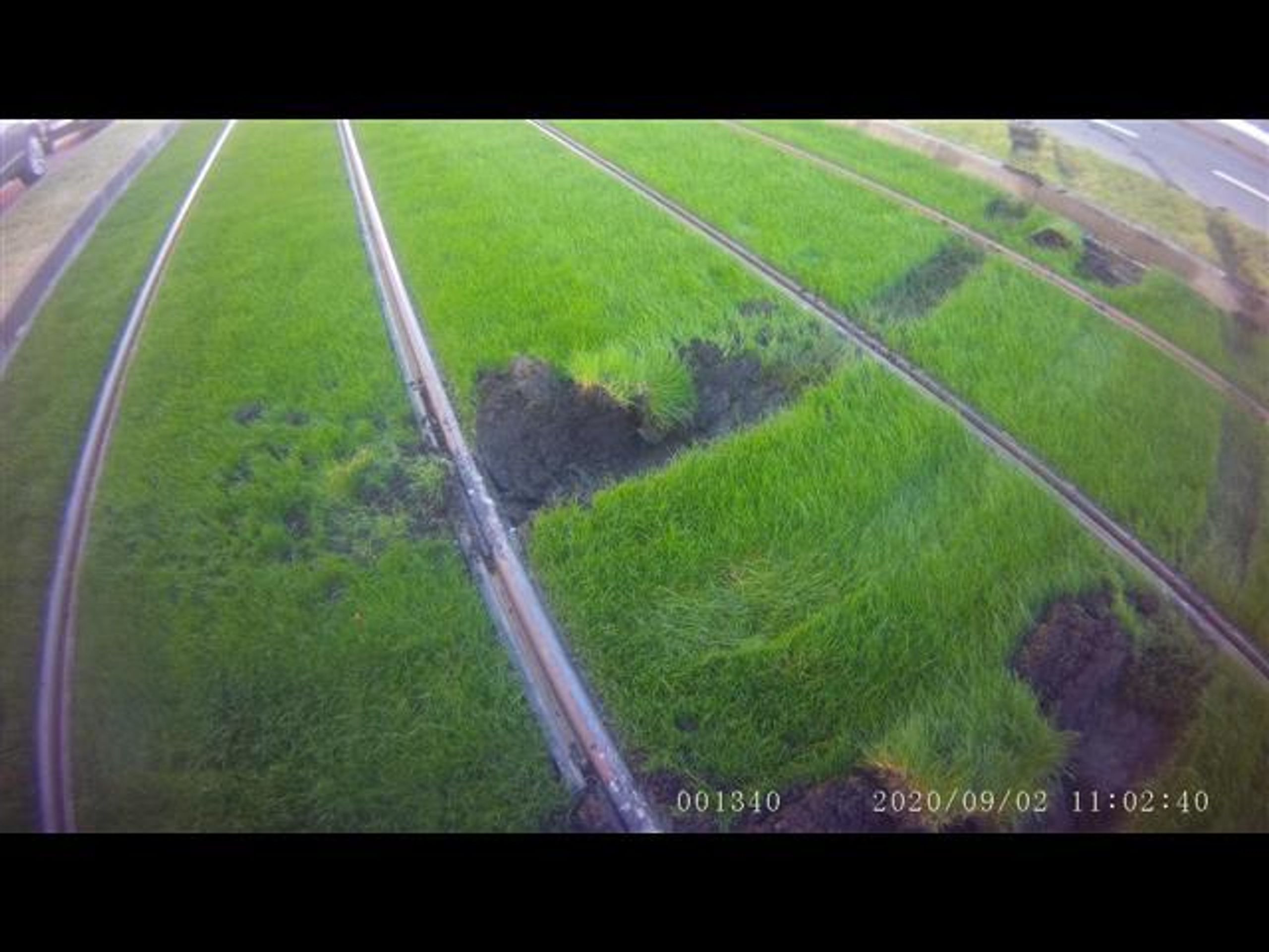 Nové sady - poškozený travnatý pás - 3 - GALERIE: Nové sady - poškozený travnatý pás (3/10)
