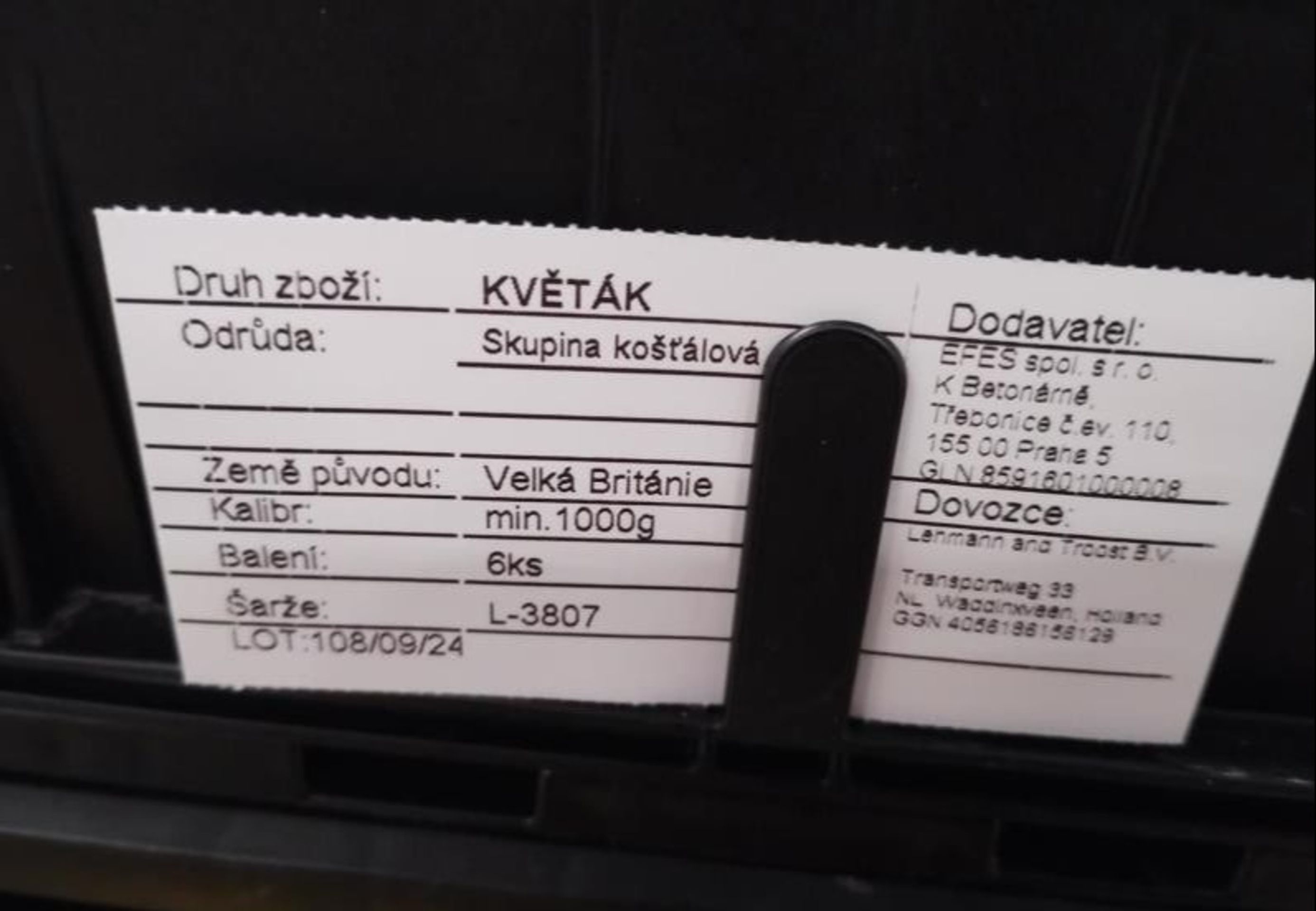 Zdraví nebezpečný květák z Penny Marketu - Zdraví nebezpečné a nejakostní potraviny (2/13)
