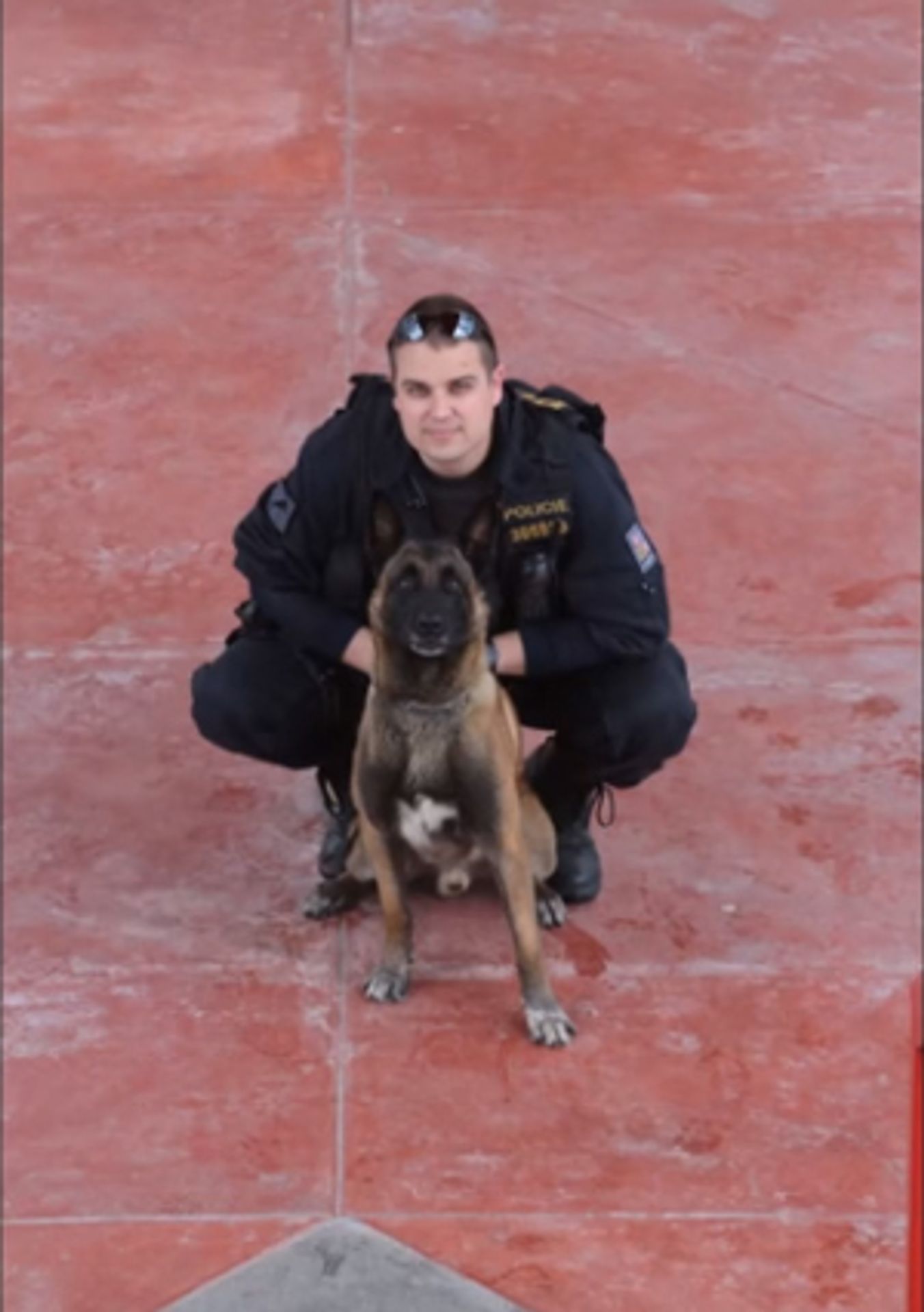 Služební veterán Bond - 8 - GALERIE: Služební veterán Bond (8/8)