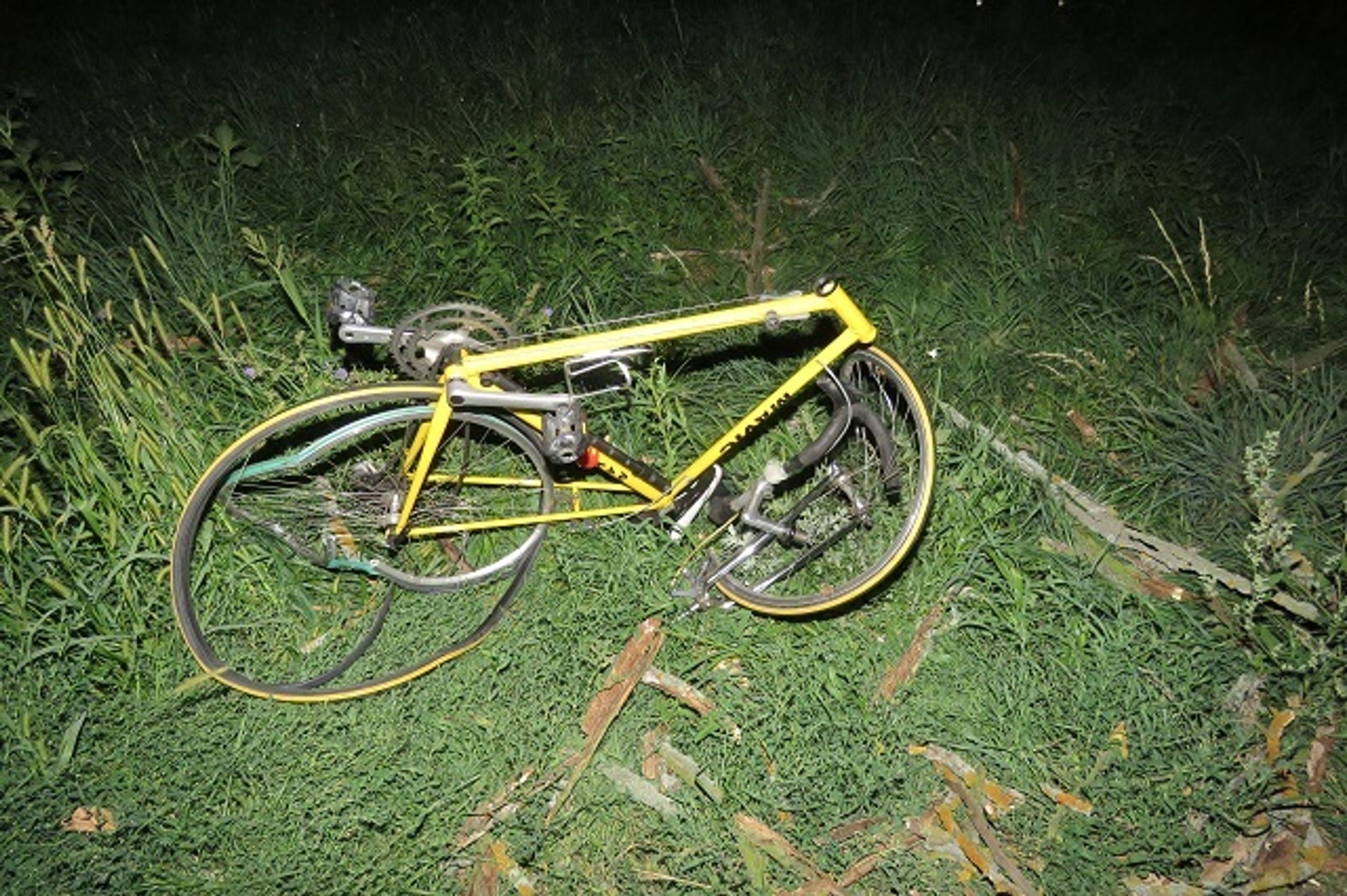 Na cyklisty spadl strom - 7 - GALERIE: Na cyklisty spadl strom (7/8)