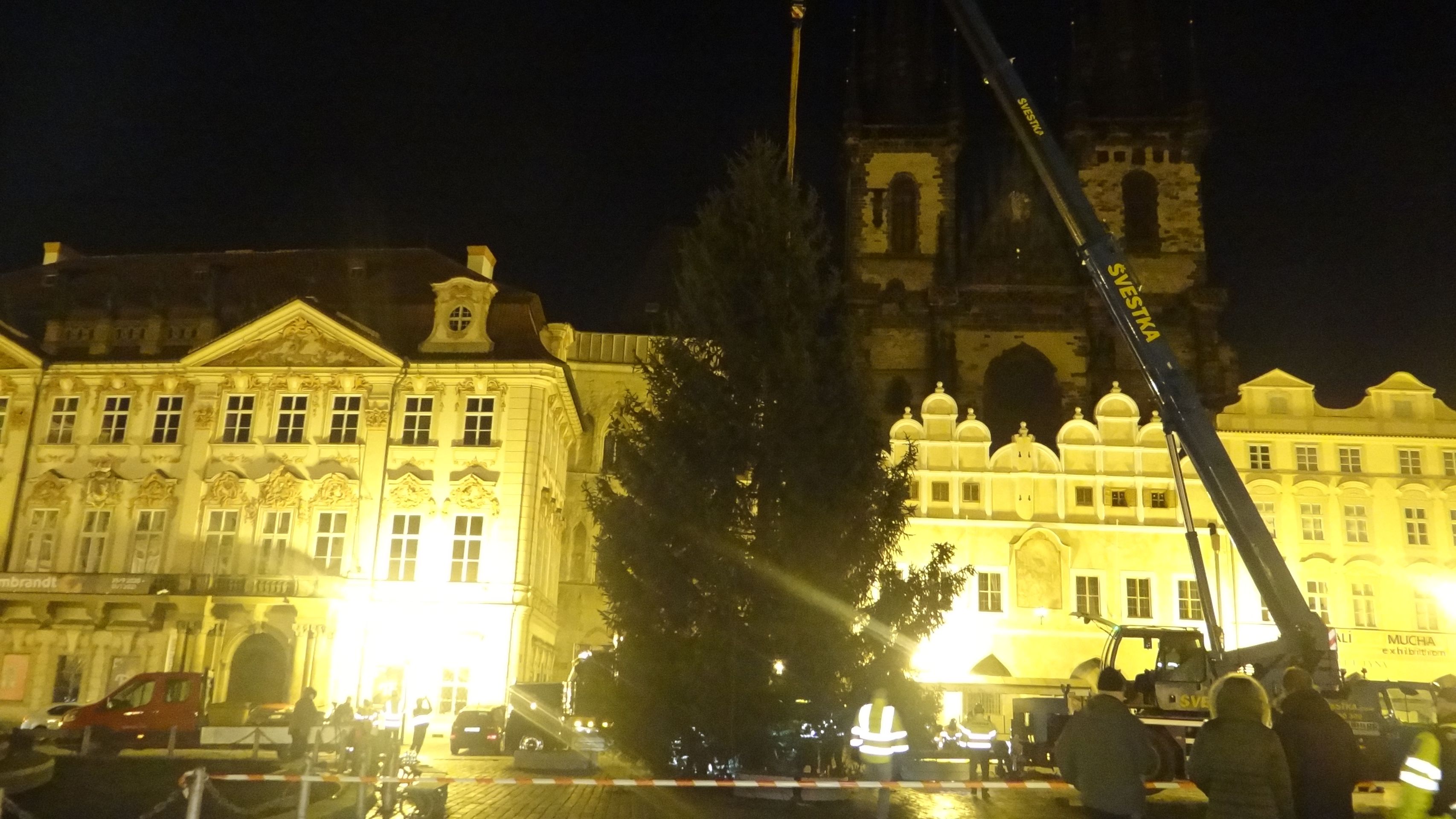 Smrk byl tentokráte menší, ale krásně rostlý - GALERIE: Vánoční strom dorazil do Prahy (6/7)