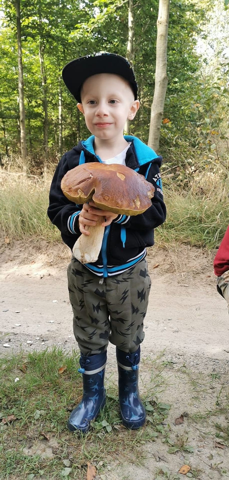 Houbařské úlovky od čtenářů TN.cz - GALERIE: Čtenáři TN.cz se chlubí svými houbařskými úspěchy (18/19)