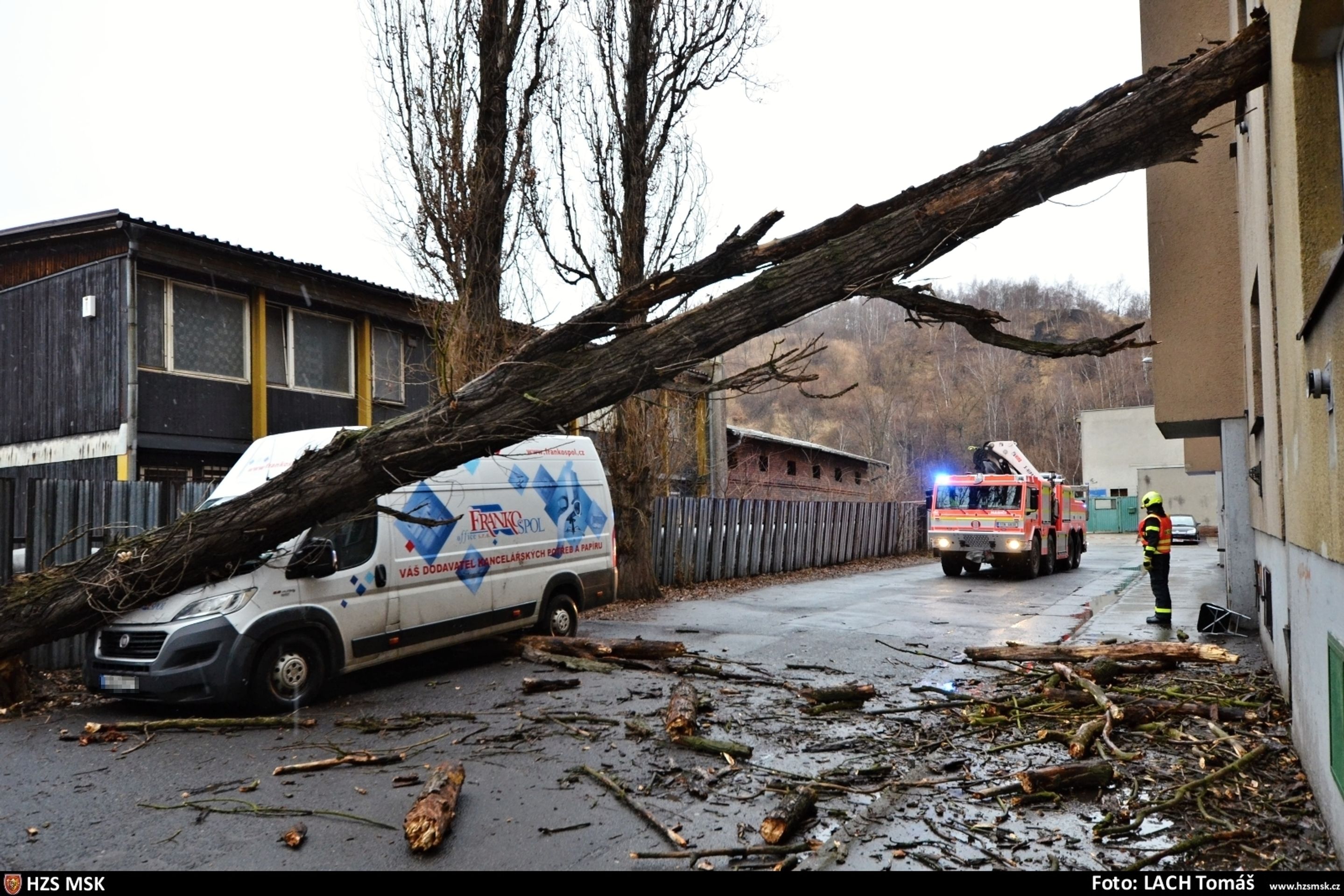 Spadlý strom v Ostravě (2) - Následky silného větru v ČR (4/5)