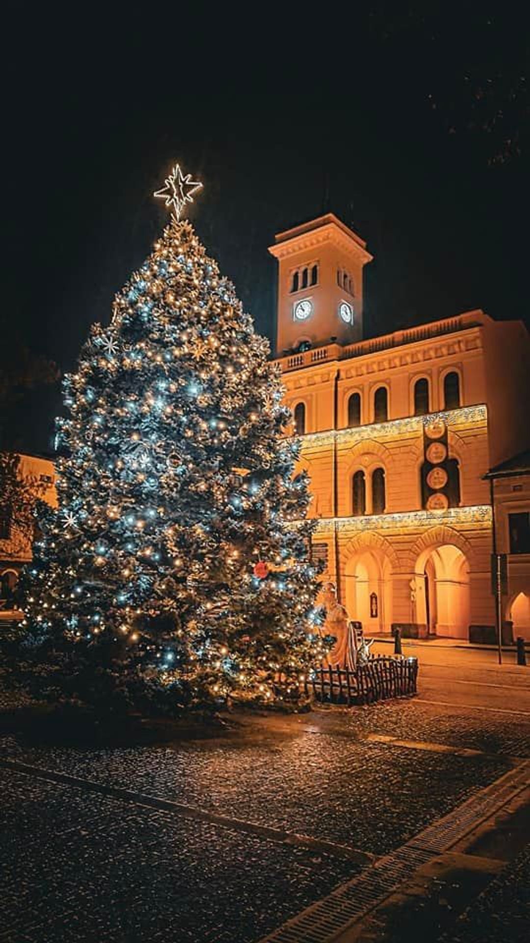 Vánoční stromek v Frenštátu pod Radhoštěm - Pěkné vánoční stromky (1/11)