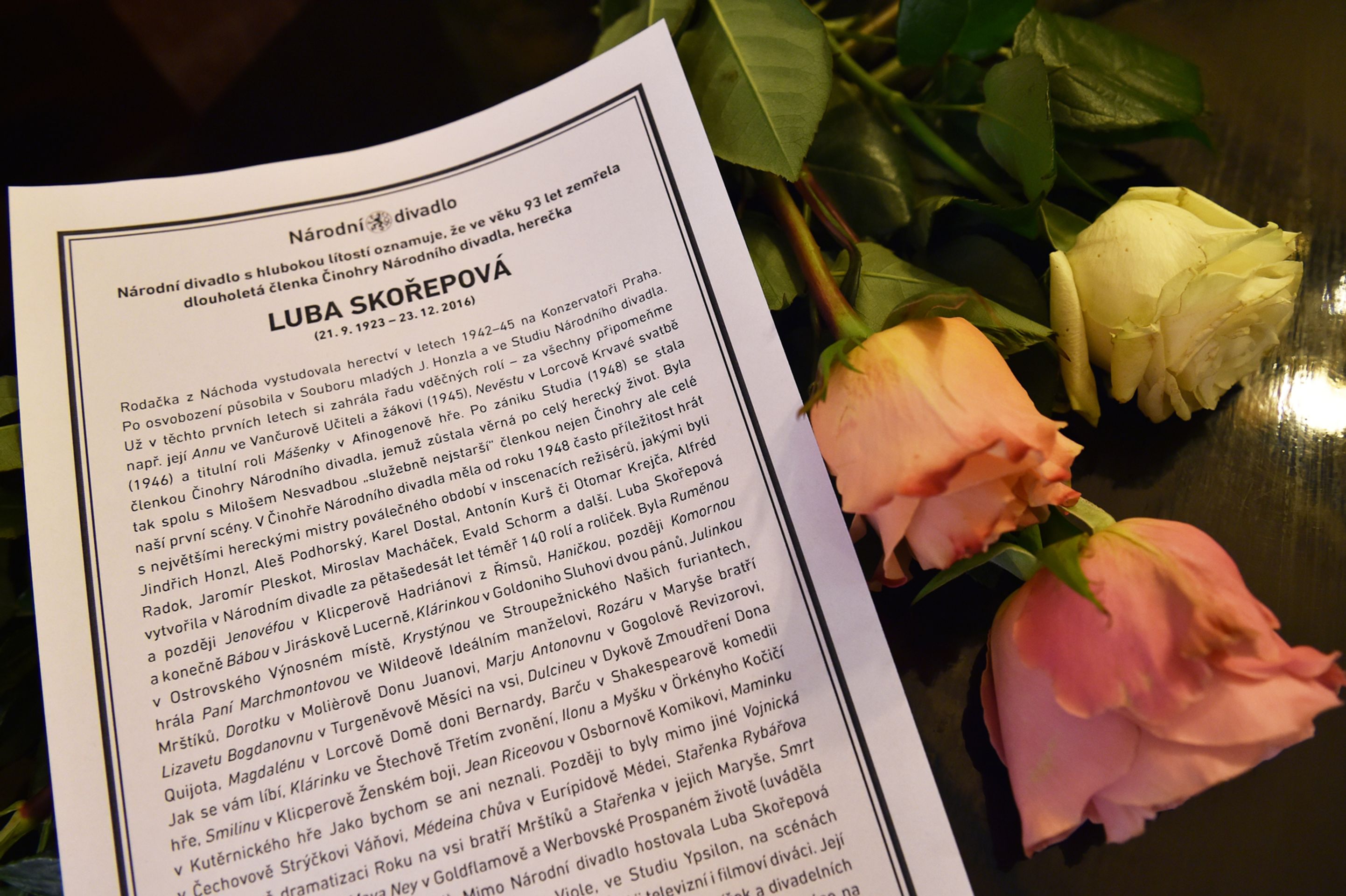 Rozloučení s Lubou Skořepovou - 14 - GALERIE: Rozloučení s Lubou Skořepovou (14/27)