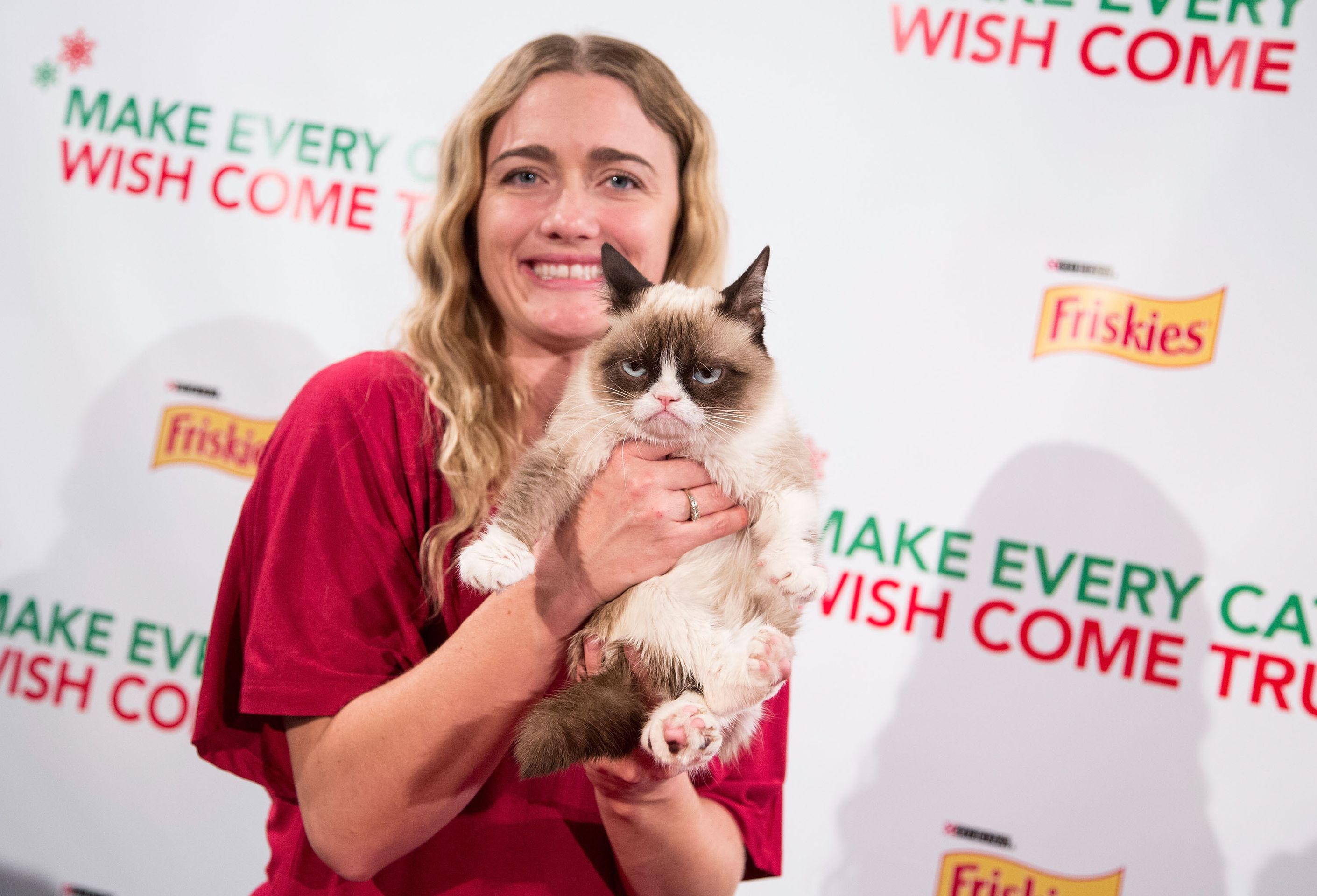 Grumpy cat - GALERIE: Nejnaštvanější kočka (6/9)
