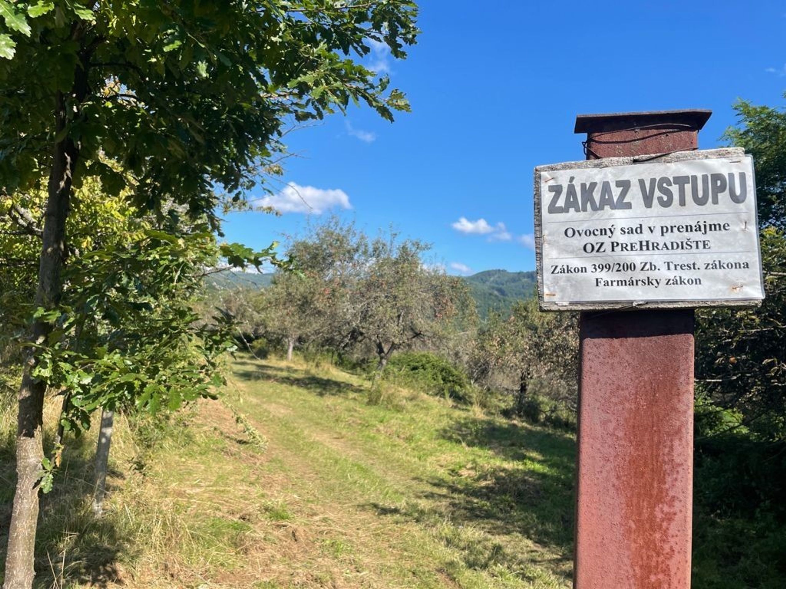 Na Slovensku napadl ženu medvěd - 2 - GALERIE: Napadení ženy medvědem na Slovensku (5/7)