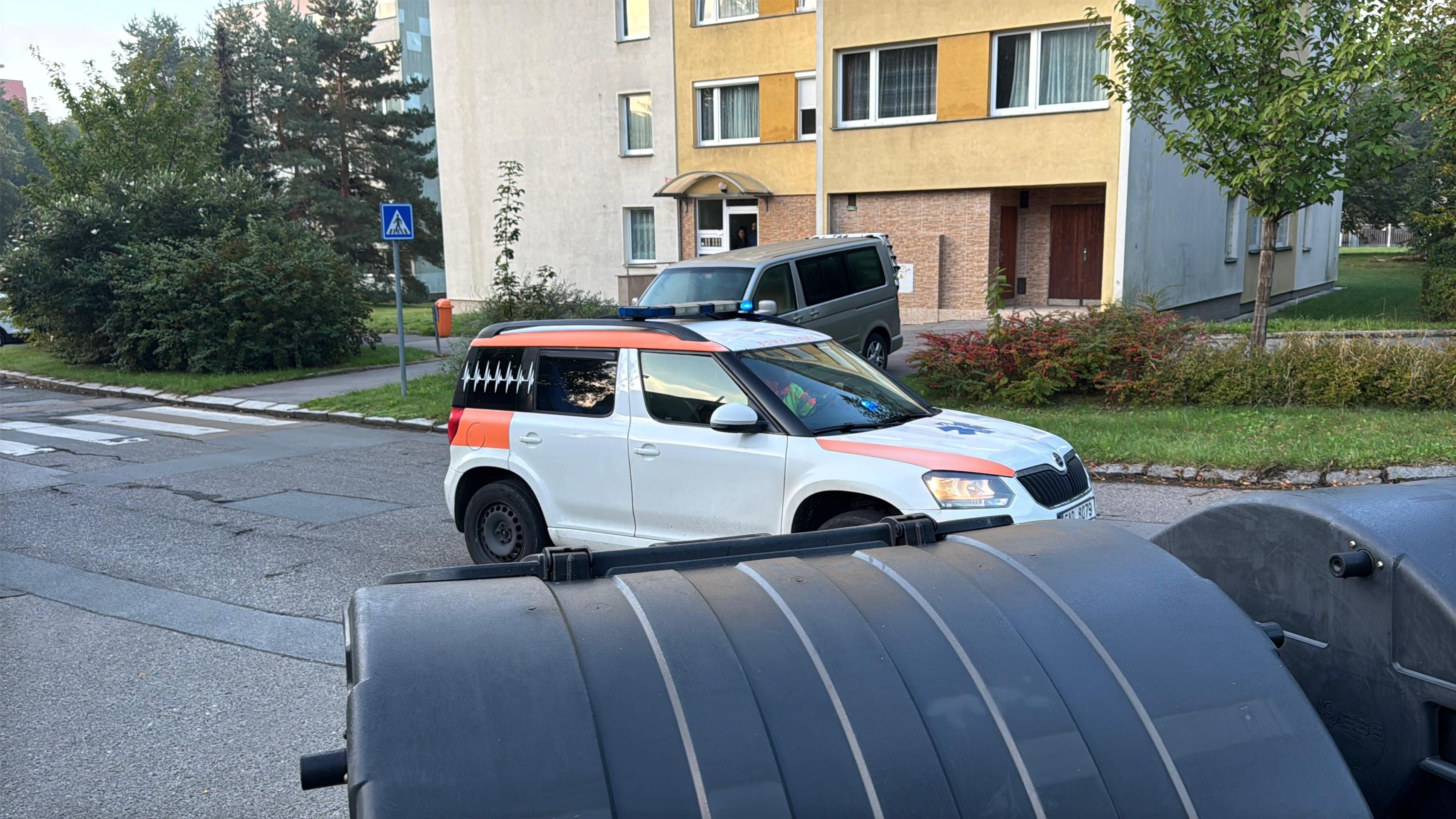 V Praze utekli majiteli agresivní rotvajleři - Útok rotvajlerů v Praze (4/11)