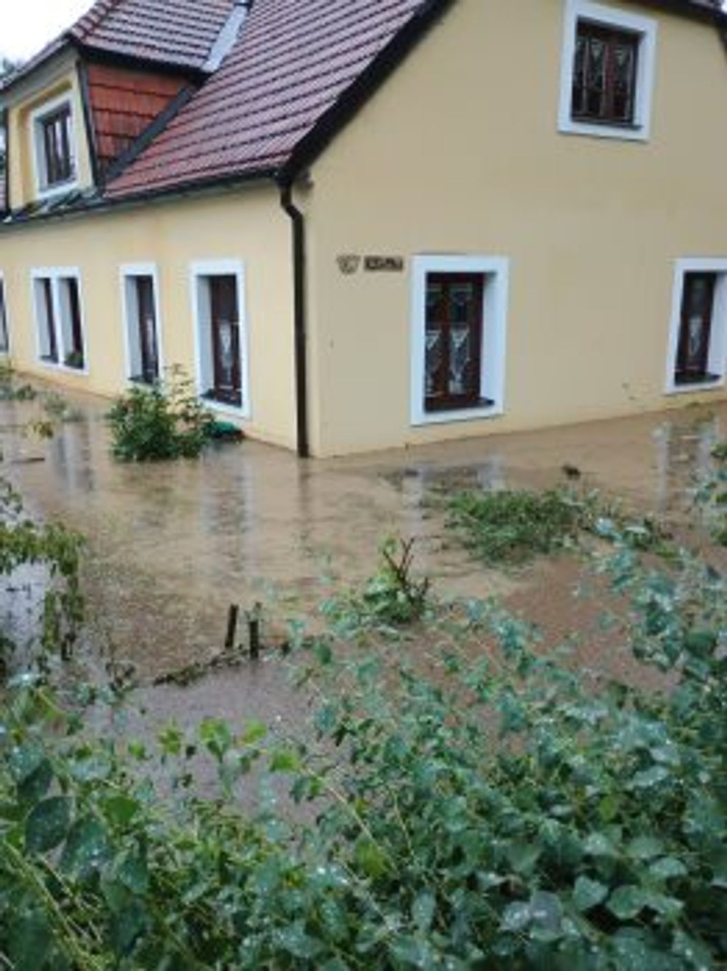 Následky bouřky ve Slavonicích - Následky čtvrtečních bouřek (1/15)