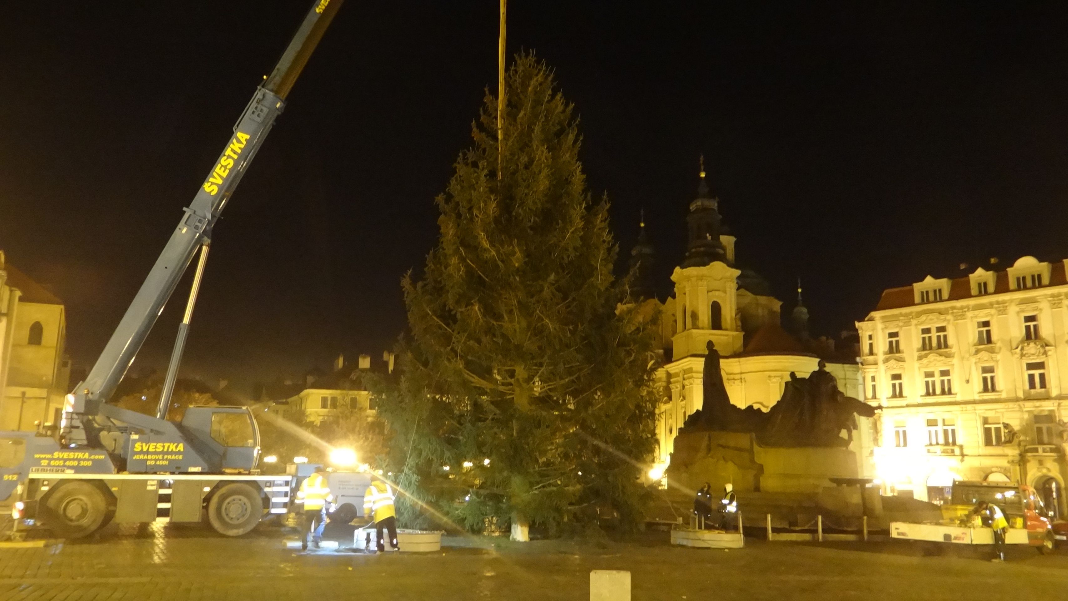 Smrk byl tentokráte menší, ale krásně rostlý - GALERIE: Vánoční strom dorazil do Prahy (7/7)