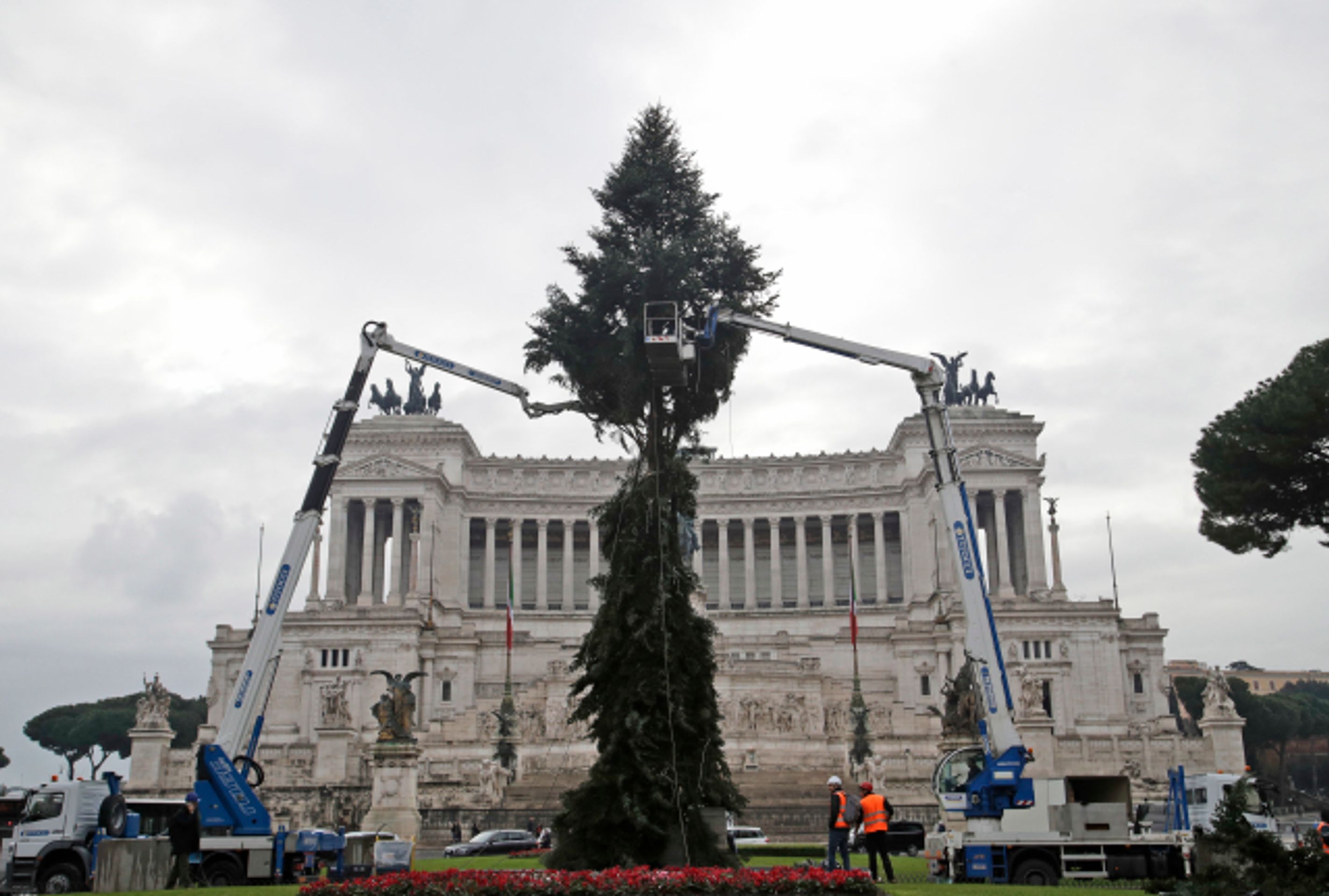 Vánoční strom v Římě - 1 - GALERIE: Vánoční strom v Římě (1/5)