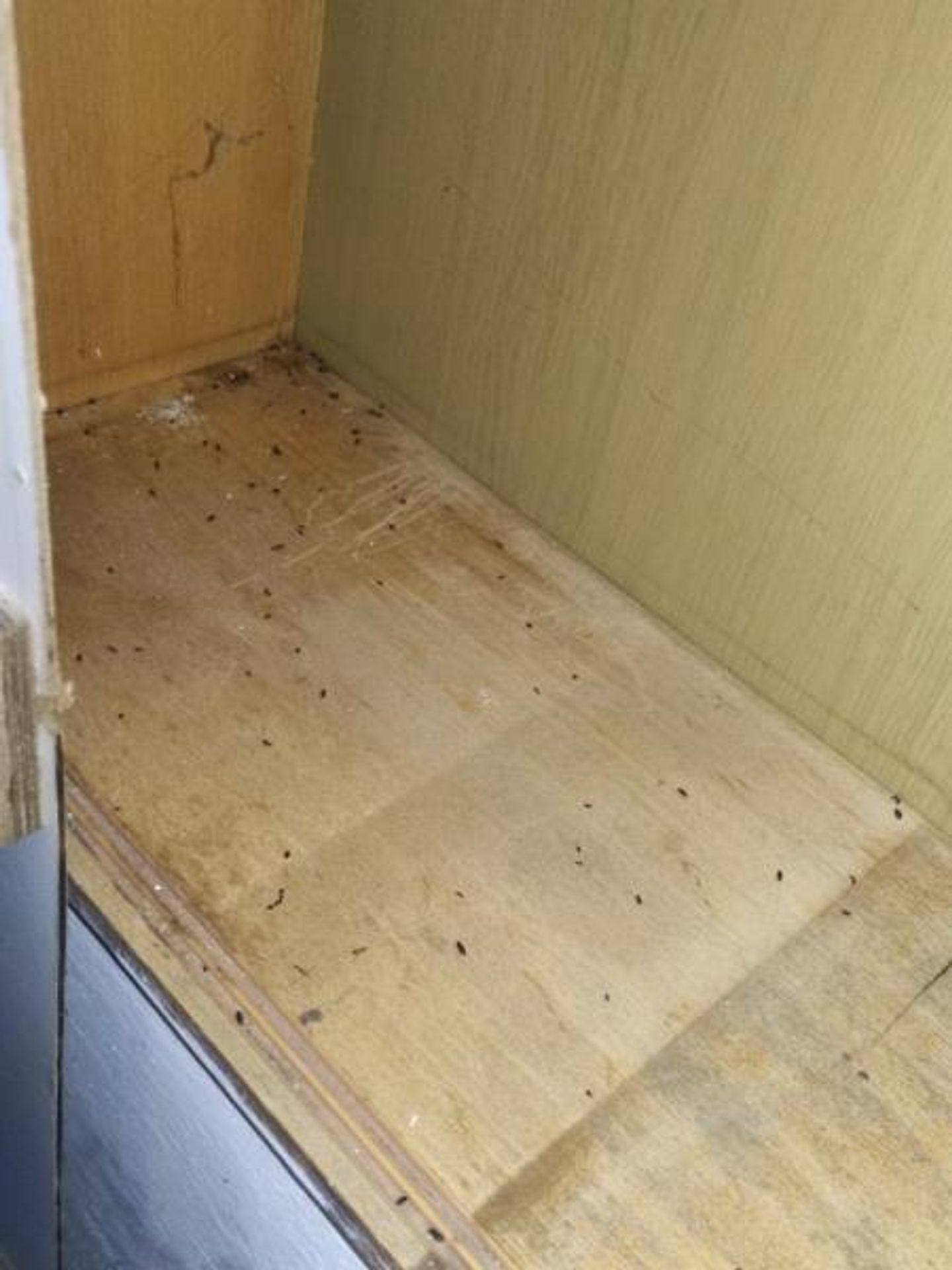 Samoobsluha, Leitnerova 9261, Brno (8) - Provozovny s vážnými hygienickými nedostatky (44/70)