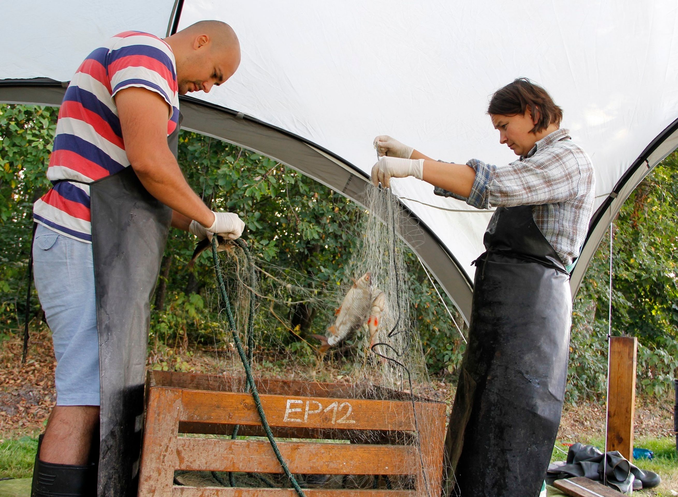 Na Lipně vymřeli Síhové - 6 - GALERIE: Na Lipně vymřeli Síhové (4/7)