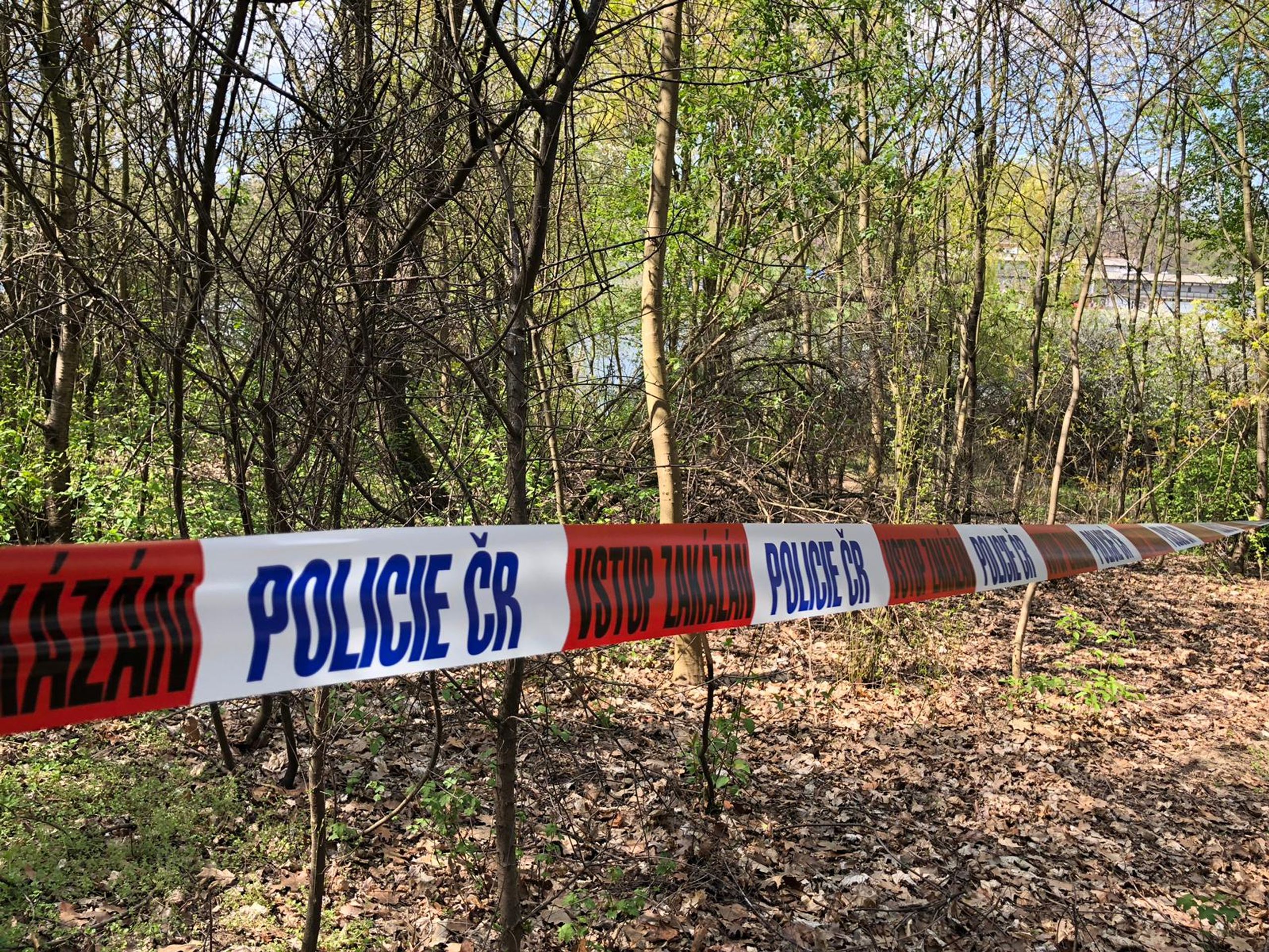 Policie pátrá po 37leté Zuzaně v Šáreckém údolí - 7 - GALERIE: Pátrání po pohřešované Zuzaně v Šáreckém údolí (7/7)