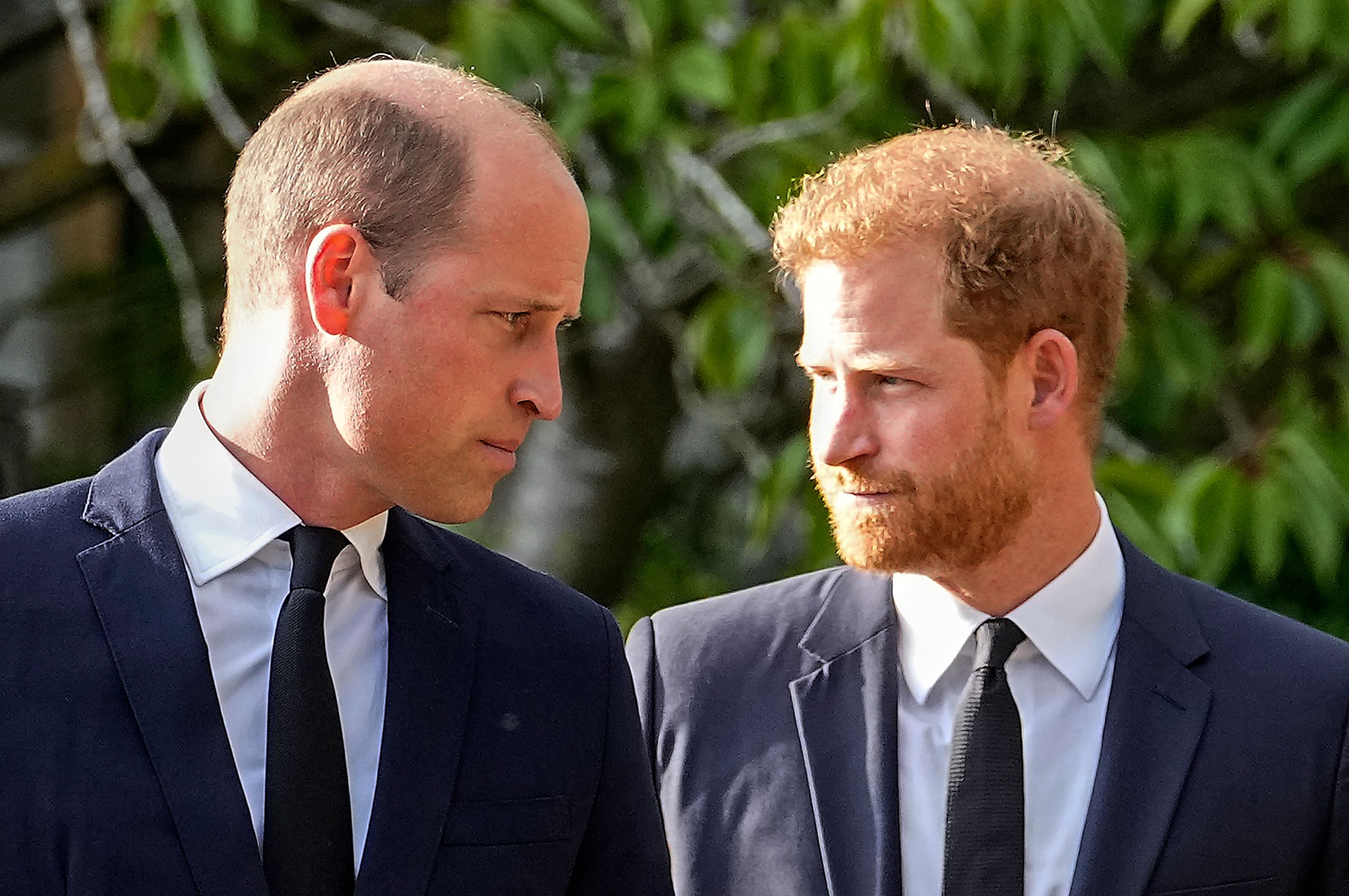 Princ Harry princ William - Princ Willim a princ Harry (6/12)