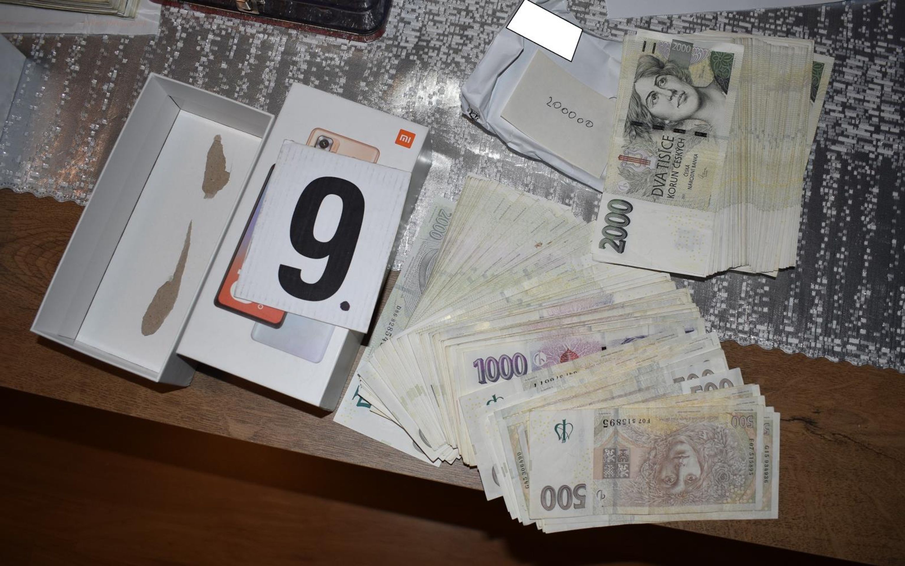 Finanční prostředky z trestné činnosti (1) - Finance z organizované prostituce (1/4)