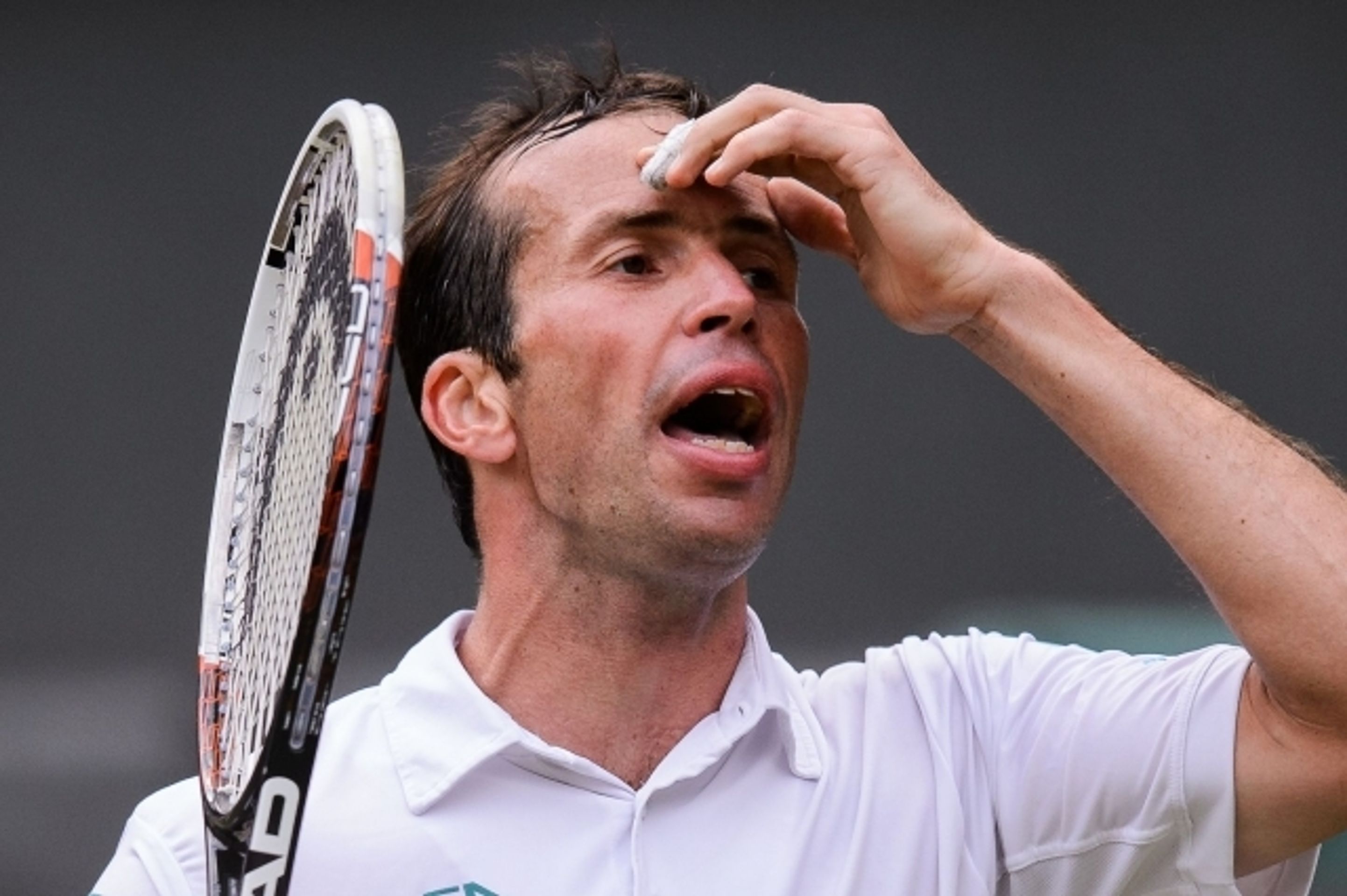 GALERIE: Radek Štěpánek - Nova Djokovič - 12 - GALERIE: Radek Štěpánek - Novak Djokovič, Wimbledon 2014 (13/13)