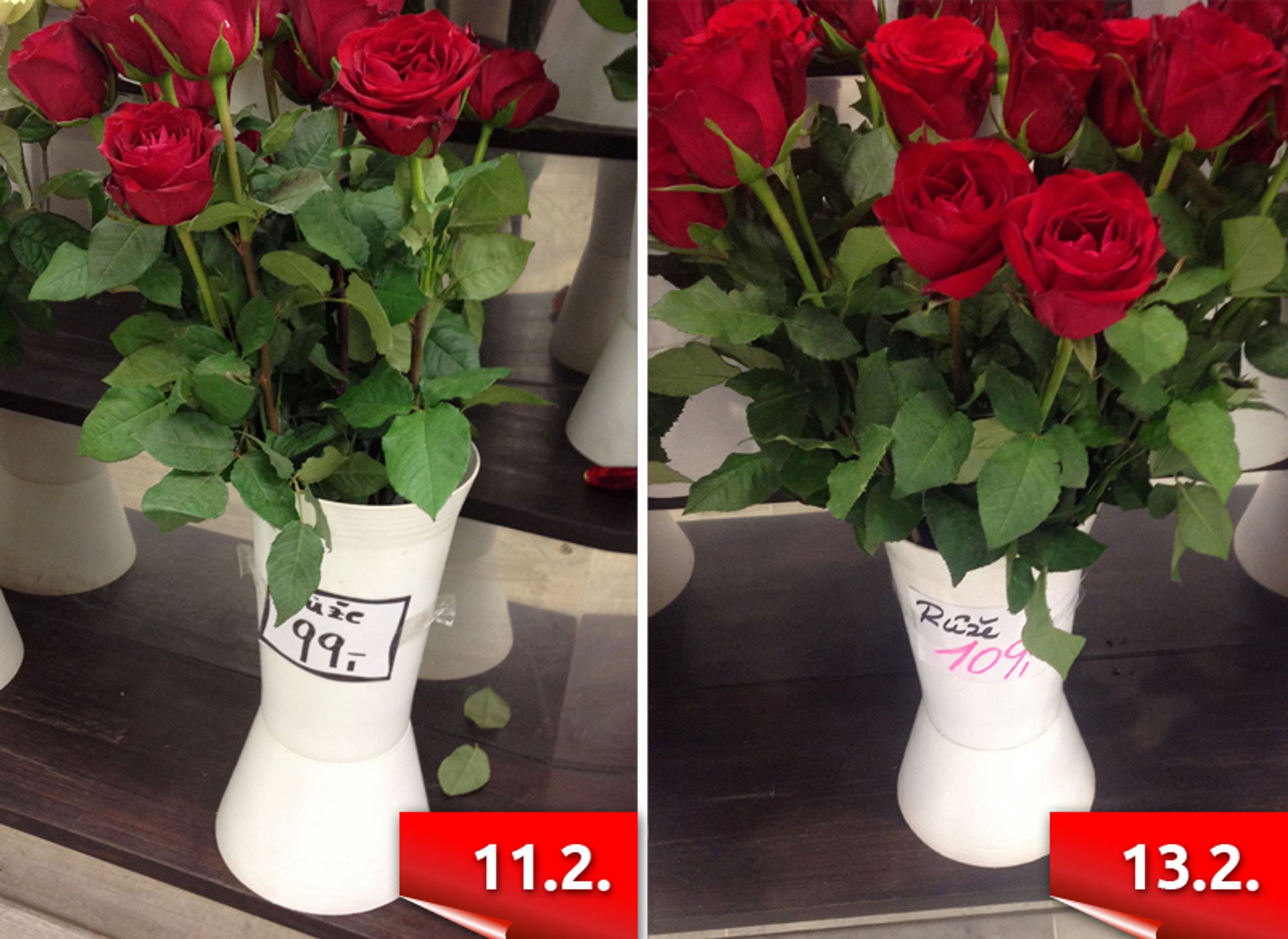 Řezané květiny před Valentýnem - růže - GALERIE: Za kolik se prodávají květiny těsně před Valentýnem? (1/6)
