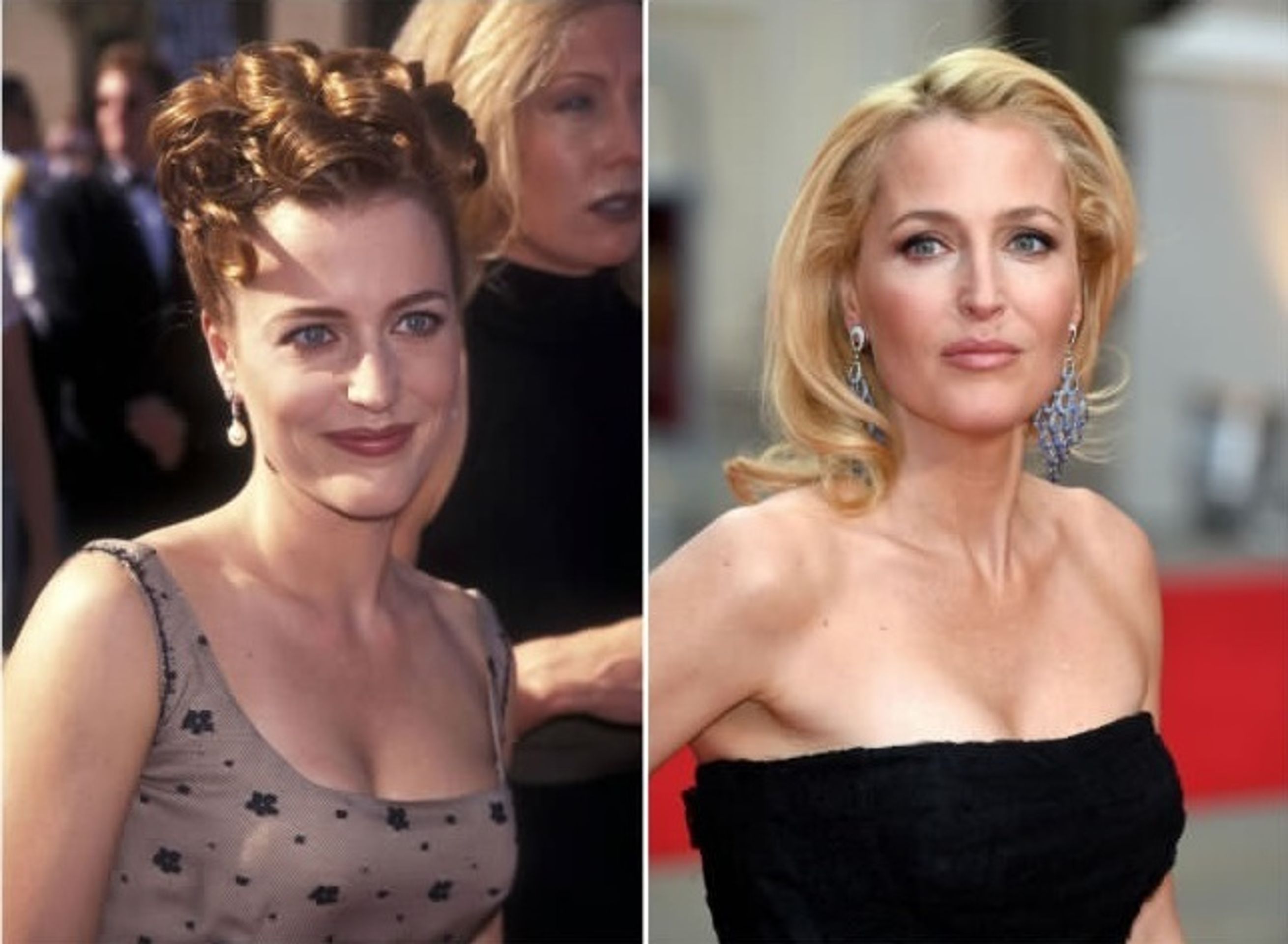 Gillian Anderson - GALERIE: Hollywoodské herečky, které nestárnou (11/15)