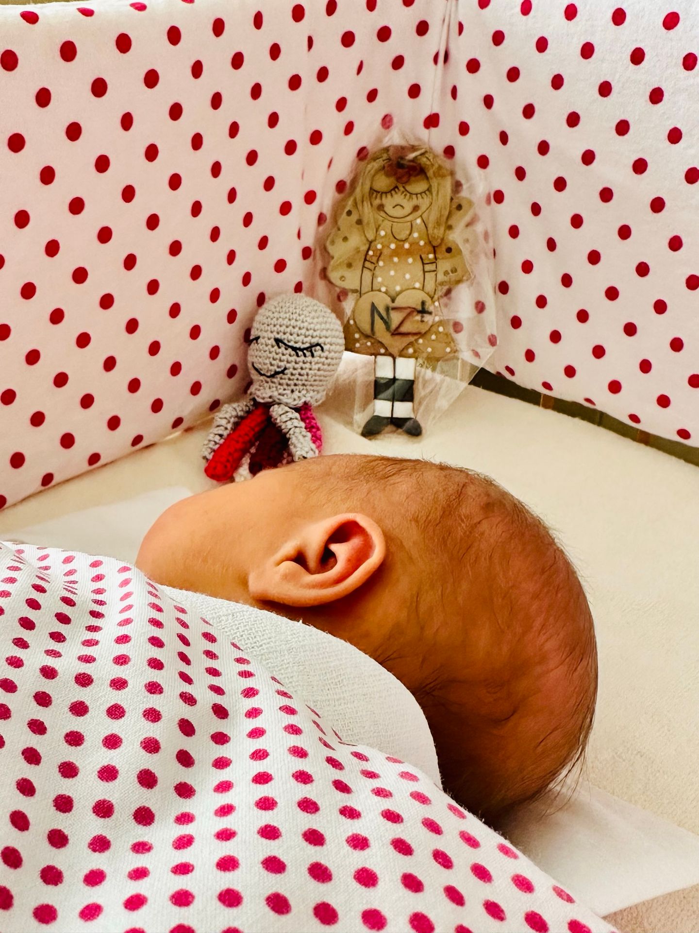 Odložené miminko v babyboxu - Odložené miminko ze Znojma už má nové rodiče (3/4)