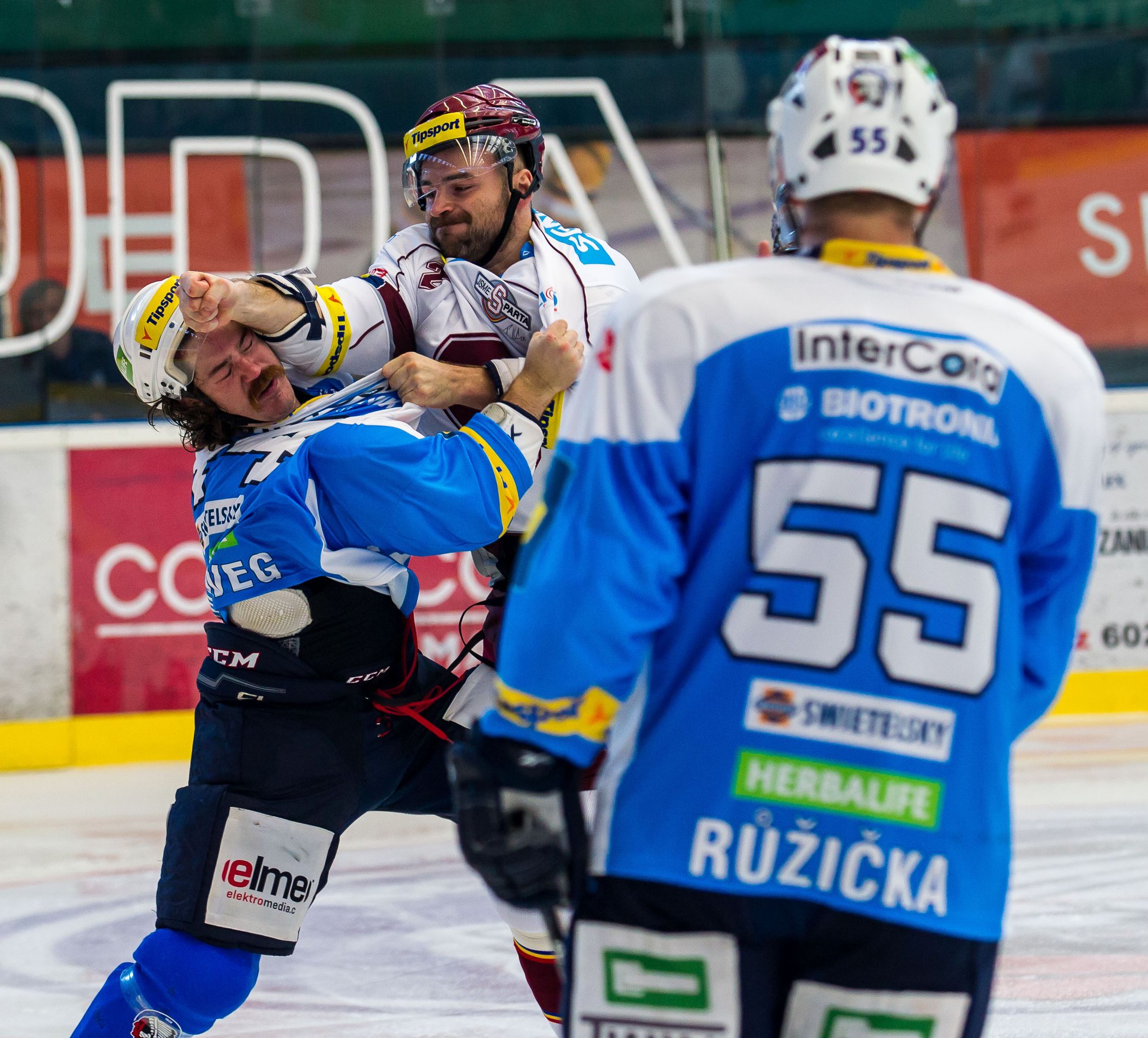 David Kočí vs. Ryan Hollweg, bitka z NHL v extralize - 3 - GALERIE: David Kočí vs. Ryan Hollweg (5/7)