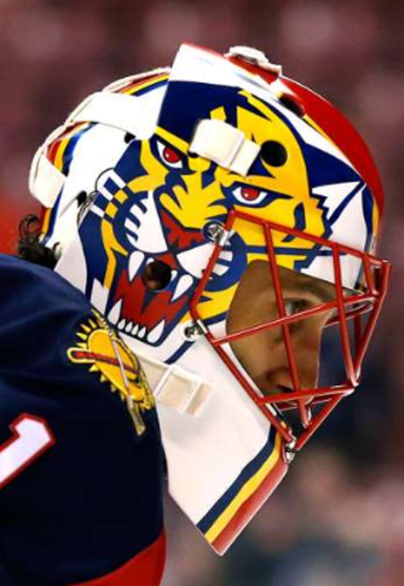 Roberto Luongo 2 - Galerie: Která brankářská helma byla v NHL nejoriginálnější? (12/14)